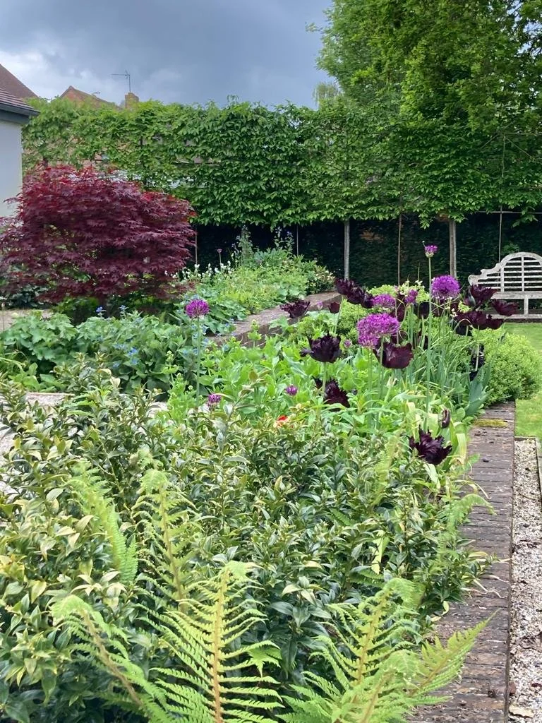 Website photo_Crowsteps early summer 2023JPG.JPG