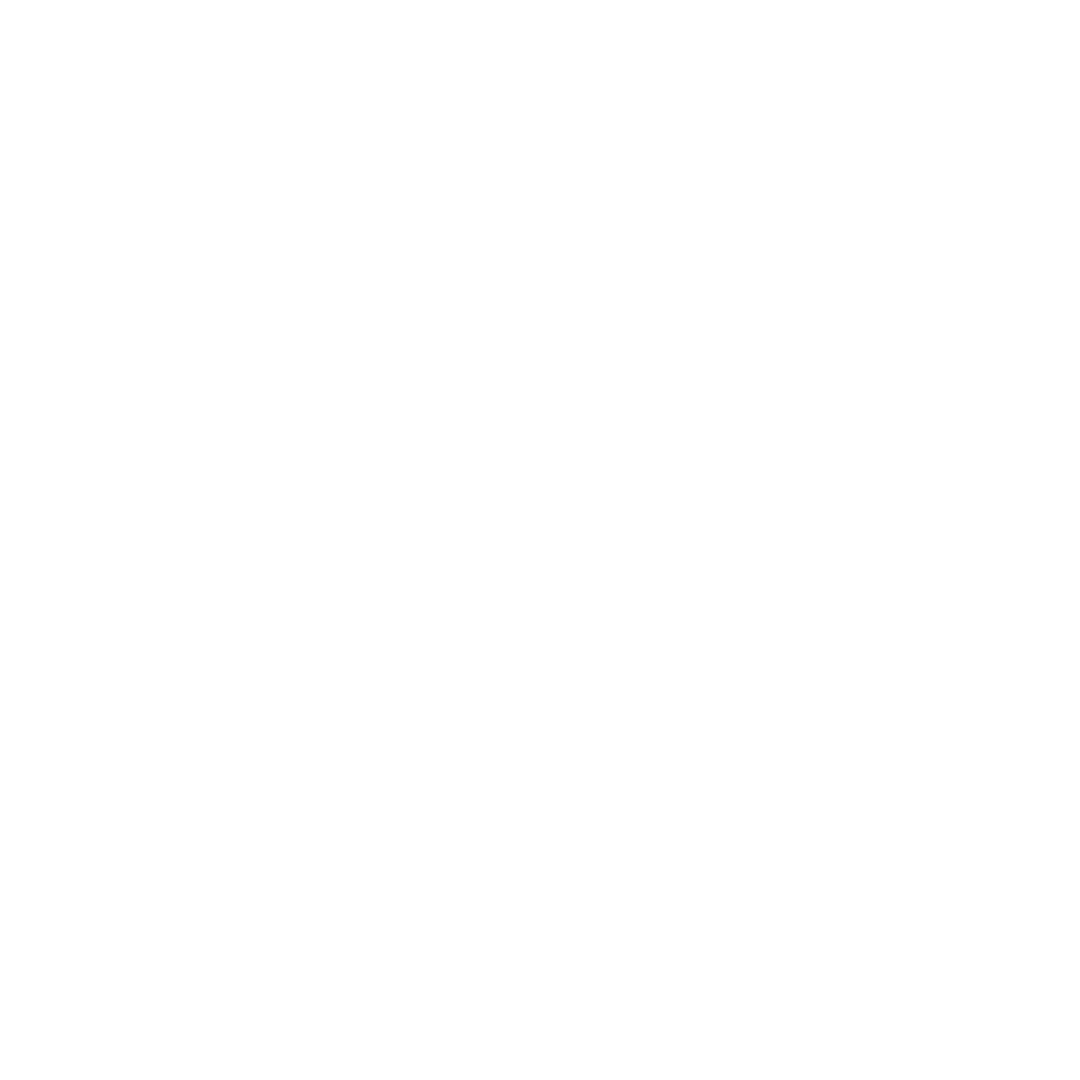 Elite Brazilian Jiu Jitsu Coaching