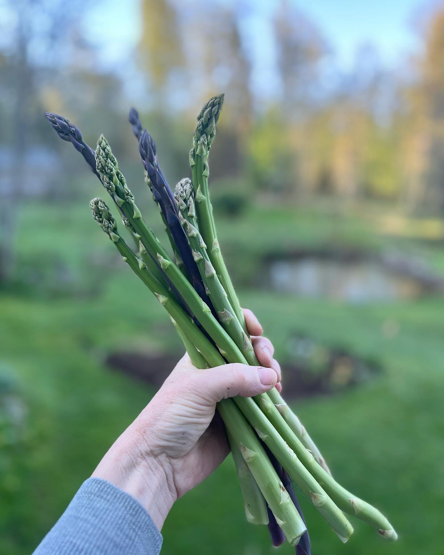 Lyckligaste stunden i v&aring;r 🌱