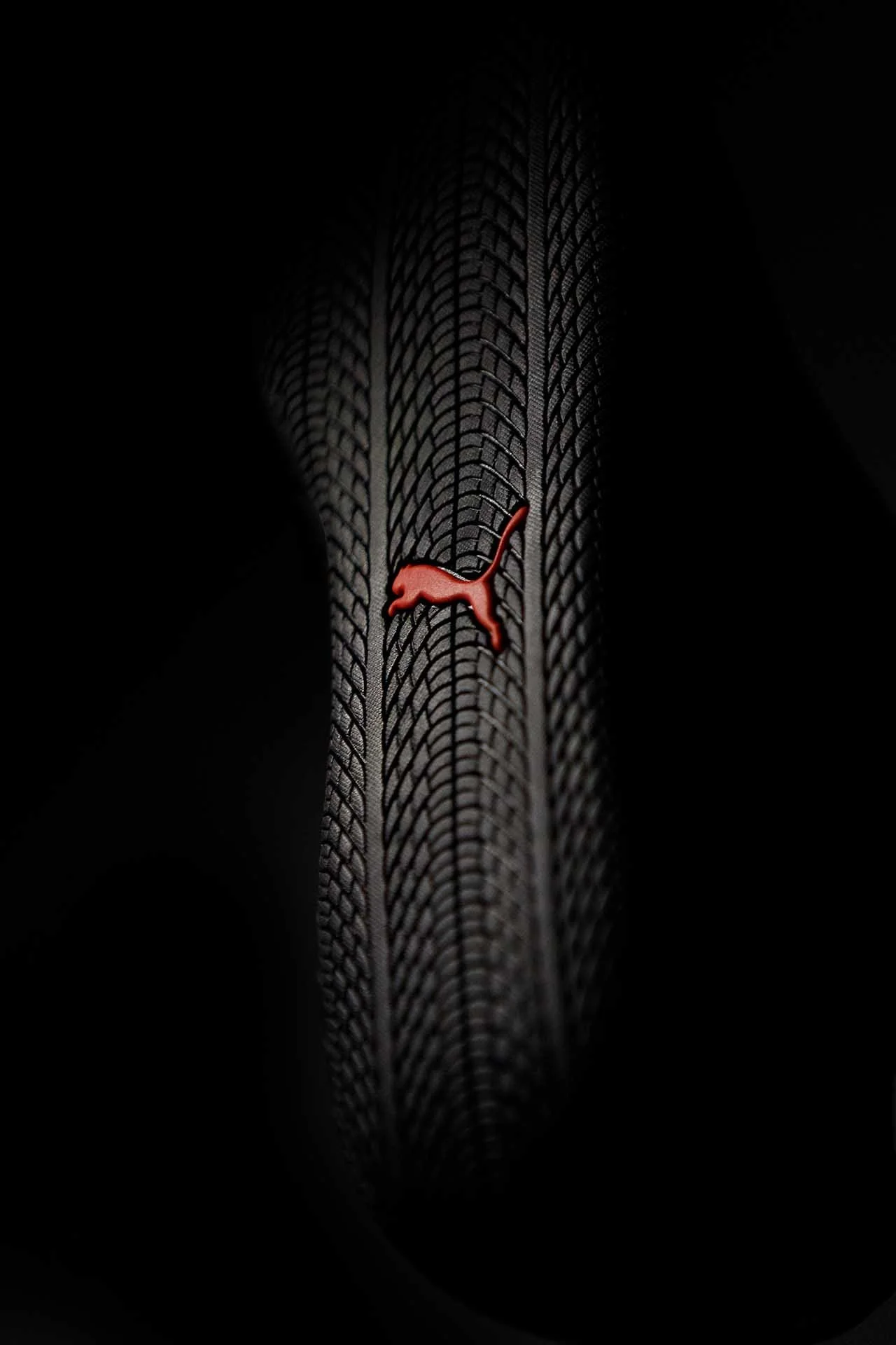 puma-294+-Edit.jpg