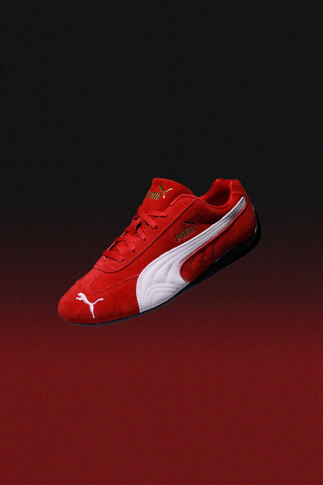 puma-140+-Edit- B&R-NOISE.jpg