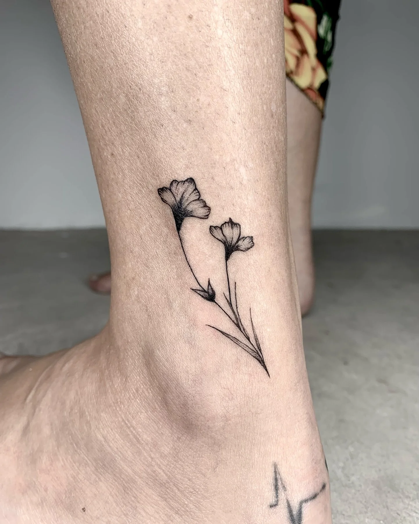 𝐿𝑒𝒶𝓋𝑒𝓈 𝑔𝓇𝑜𝓌𝒾𝓃𝑔 𝒻𝓇𝑜𝓂 𝓉𝒽𝑒 𝑒𝒶𝓇𝓉𝒽 ☘︎
𝐹𝓁𝑜𝓌𝑒𝓇 𝓇𝒾𝓈𝒾𝓃𝑔 𝓌𝒾𝓉𝒽 𝓉𝒽𝑒 𝓈𝓊𝓃 
𝒲𝒾𝓉𝒽 𝓉𝒽𝑒𝒾𝓇 𝒹𝑒𝓁𝒾𝒸𝒶𝓉𝑒 𝓅𝓇𝑒𝓈𝑒𝓃𝒸𝑒 
𝐵𝓇𝒾𝓃𝑔𝒾𝓃𝑔 𝓅𝑒𝒶𝒸𝑒 𝒶𝓃𝒹 𝓈𝑒𝓇𝑒𝓃𝒾𝓉𝓎 
𝐵𝑒𝒶𝓊𝓉𝓎 𝓉𝑜 𝓉𝒽𝑒 𝑒𝓎𝑒𝓈 