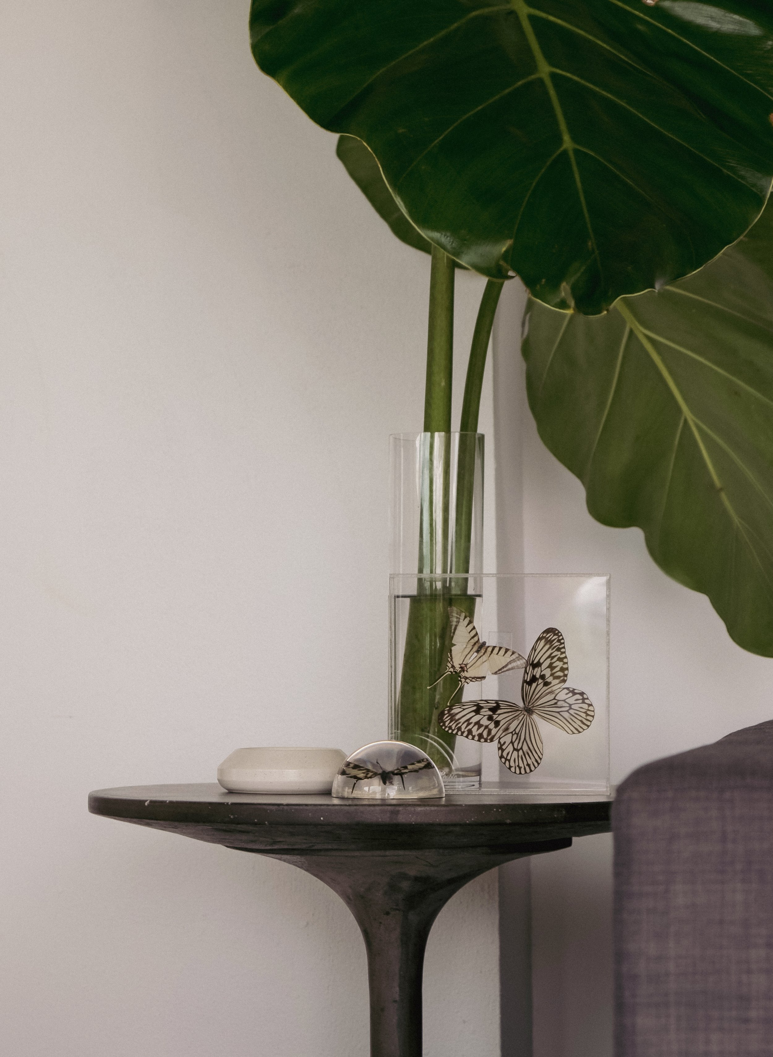 magnolia rural 25.jpg