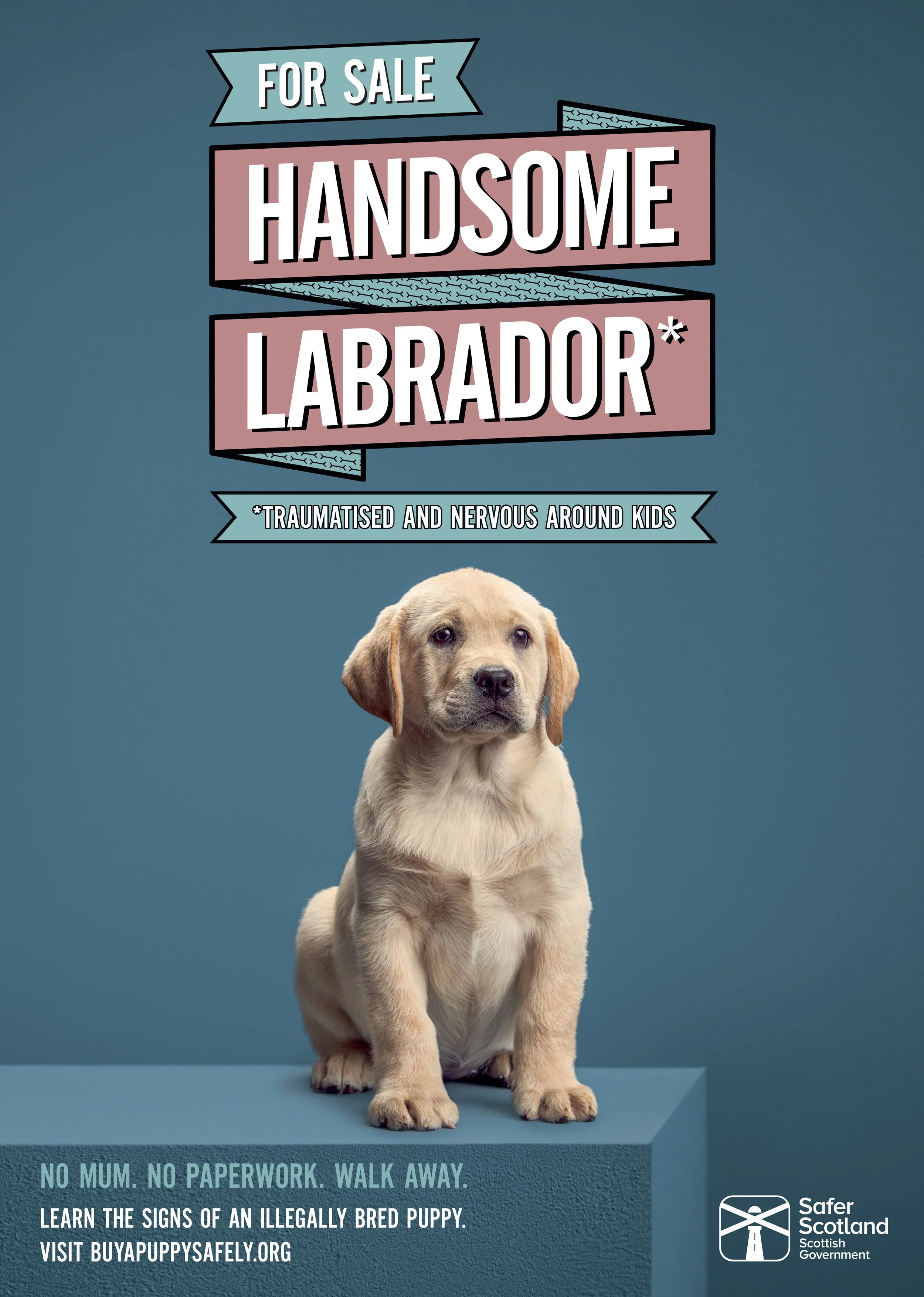 lab.jpeg