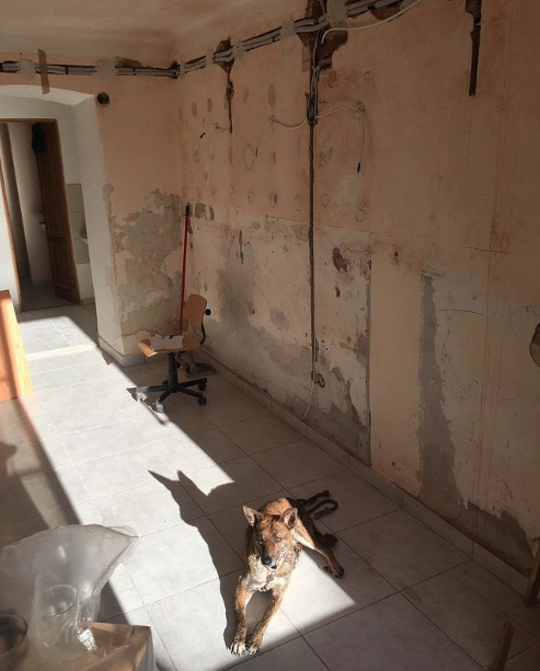 Screen Shot 2024-01-04 at 13.50.25.png