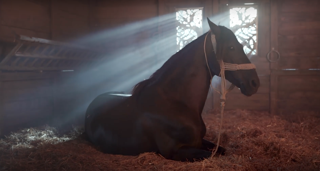 Screen Shot 2024-01-04 at 13.17.08.png