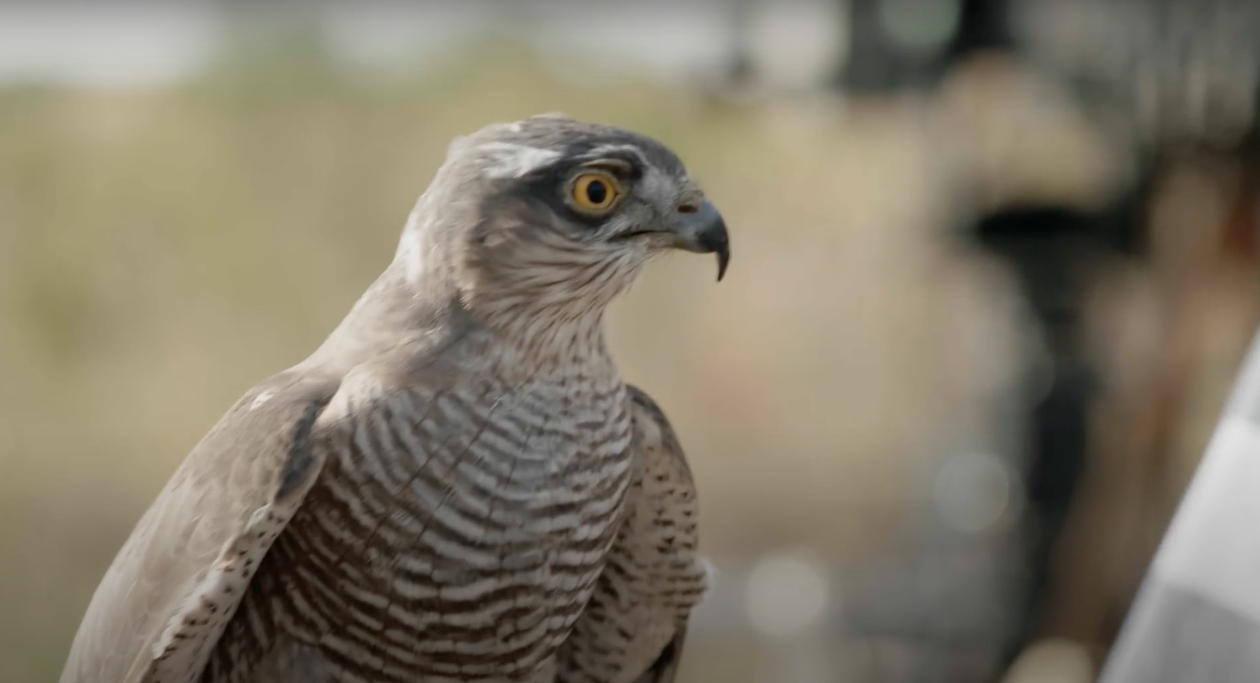 Screen Shot 2024-01-04 at 13.14.42.png