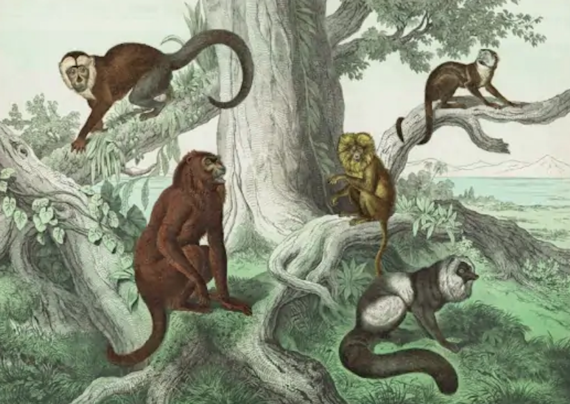 Screen Shot 2023-04-06 at 18.02.01.png