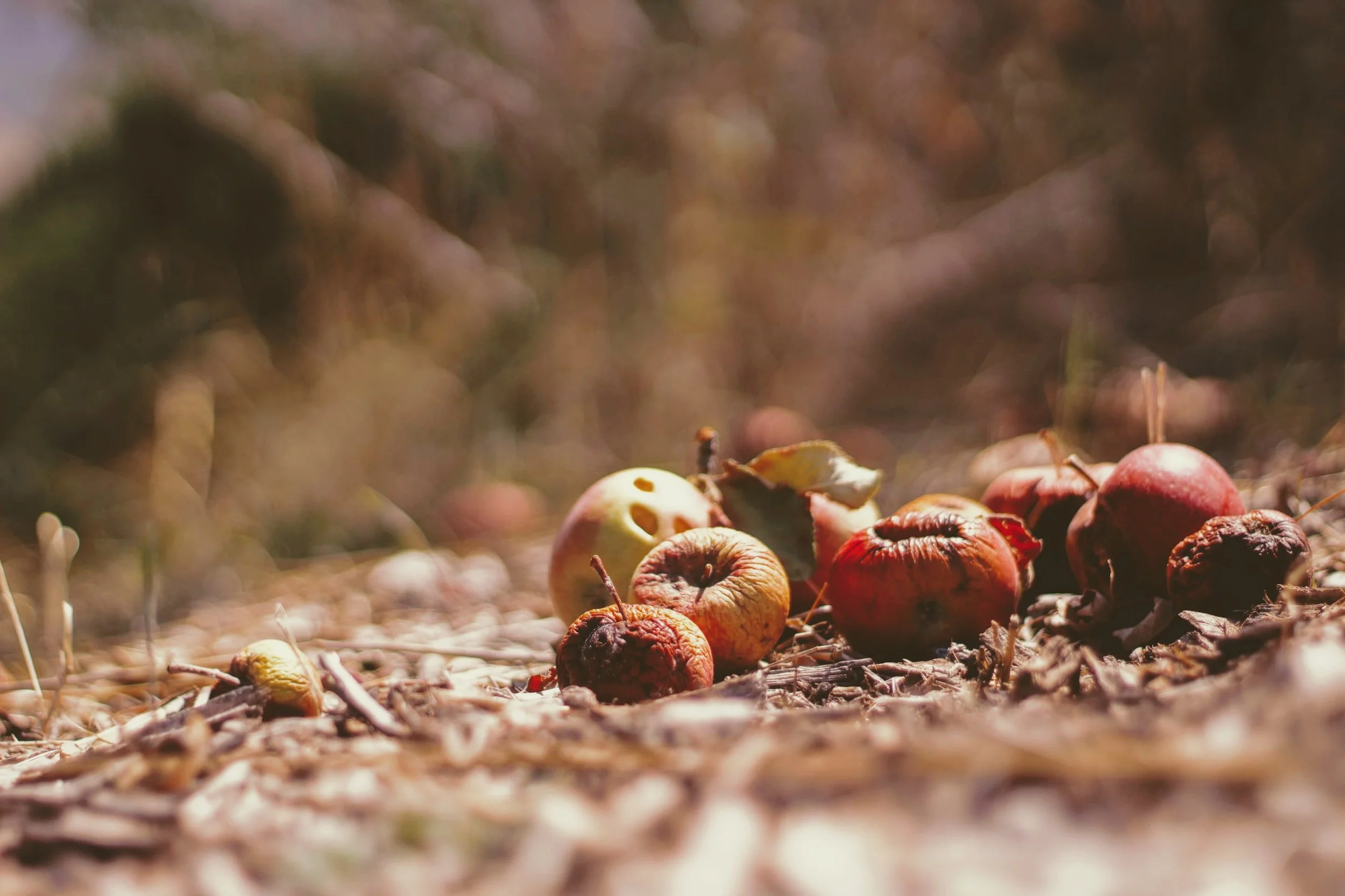 unsplash-image-Z7W72btGla0.jpg