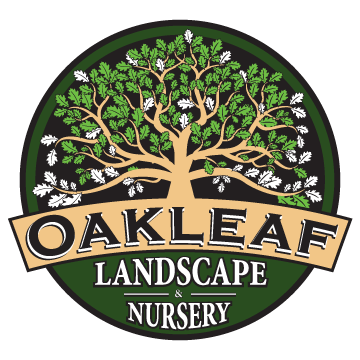 Oakleaf Landscape