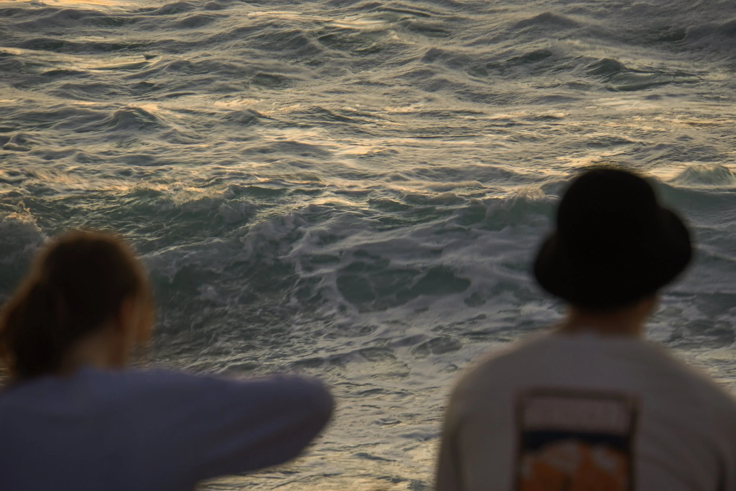 DSC07573.jpg
