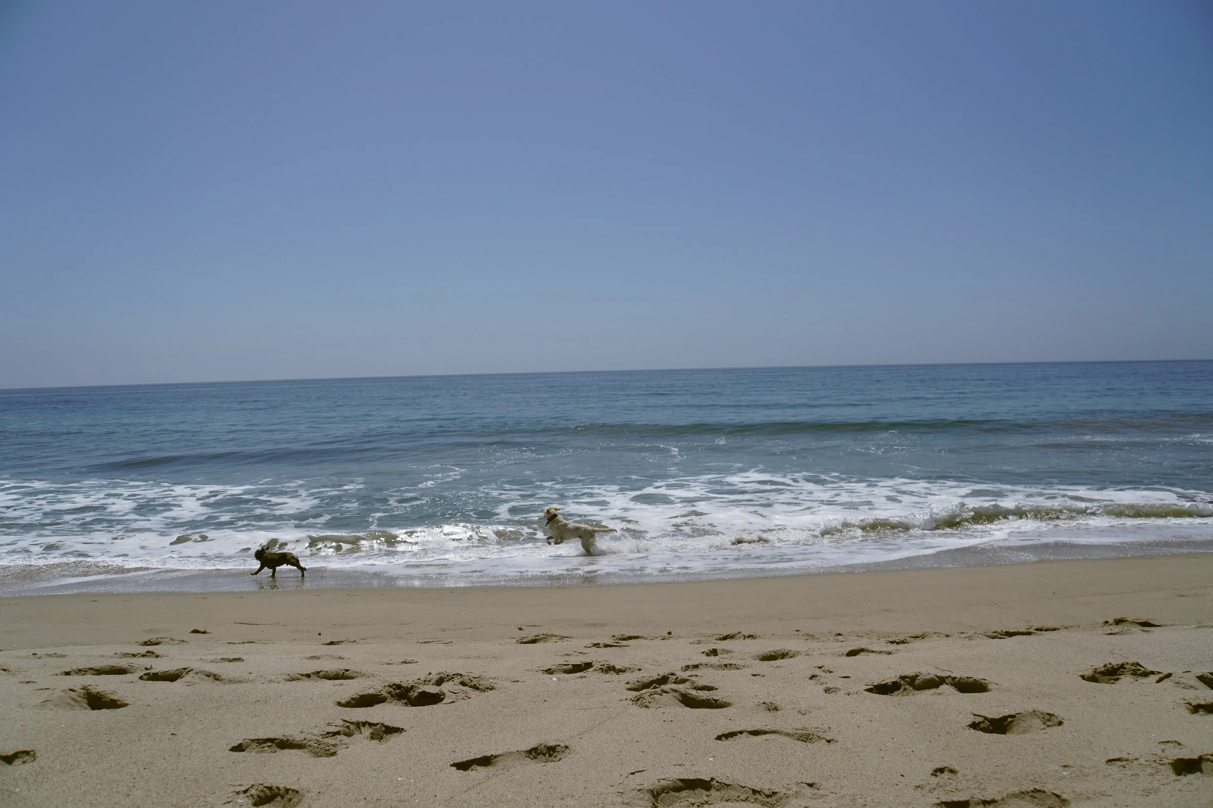 DSC07047.jpg