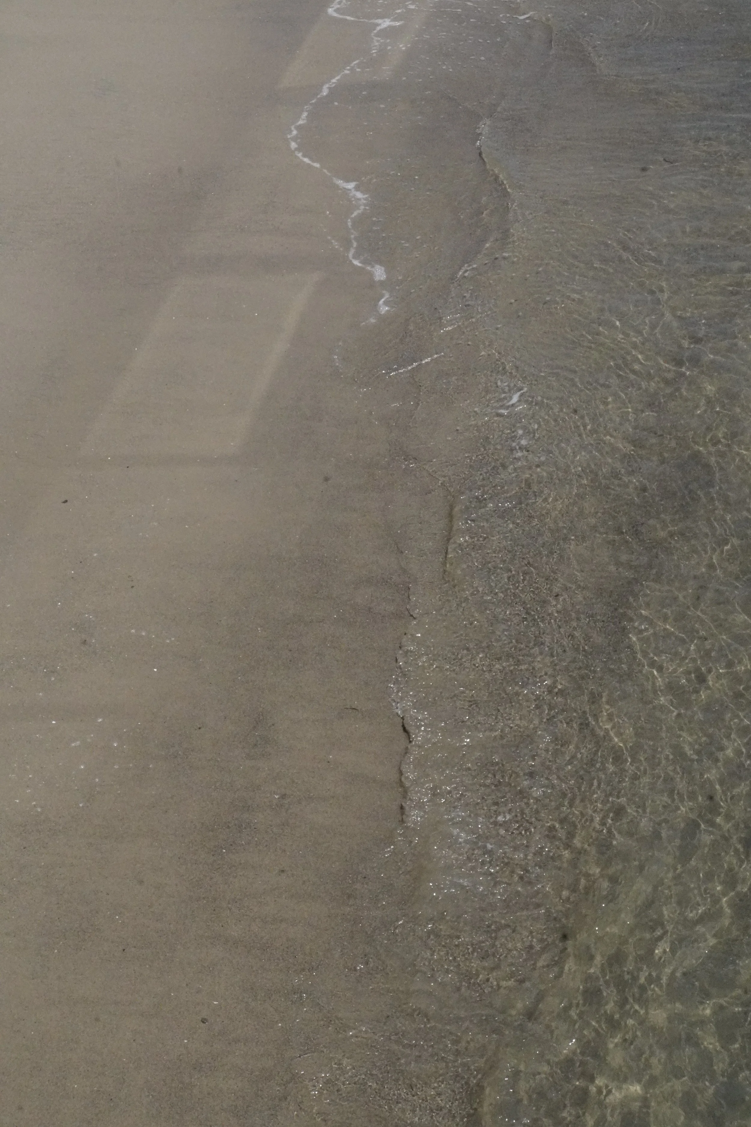 DSC07016.jpg
