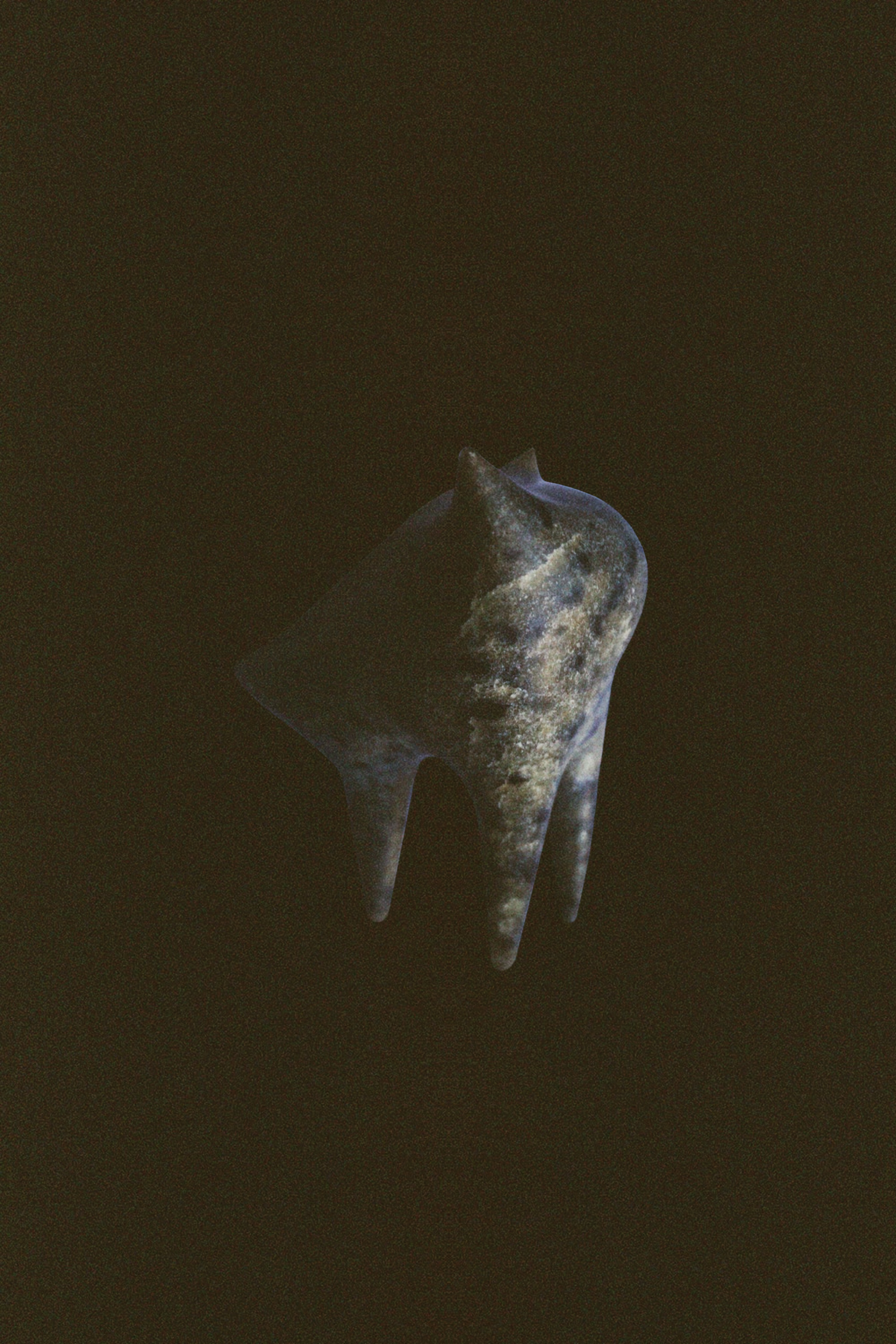 Close-up of a transparent tooth-shaped object with a cloudy, galaxy-like pattern inside, set against a dark background.