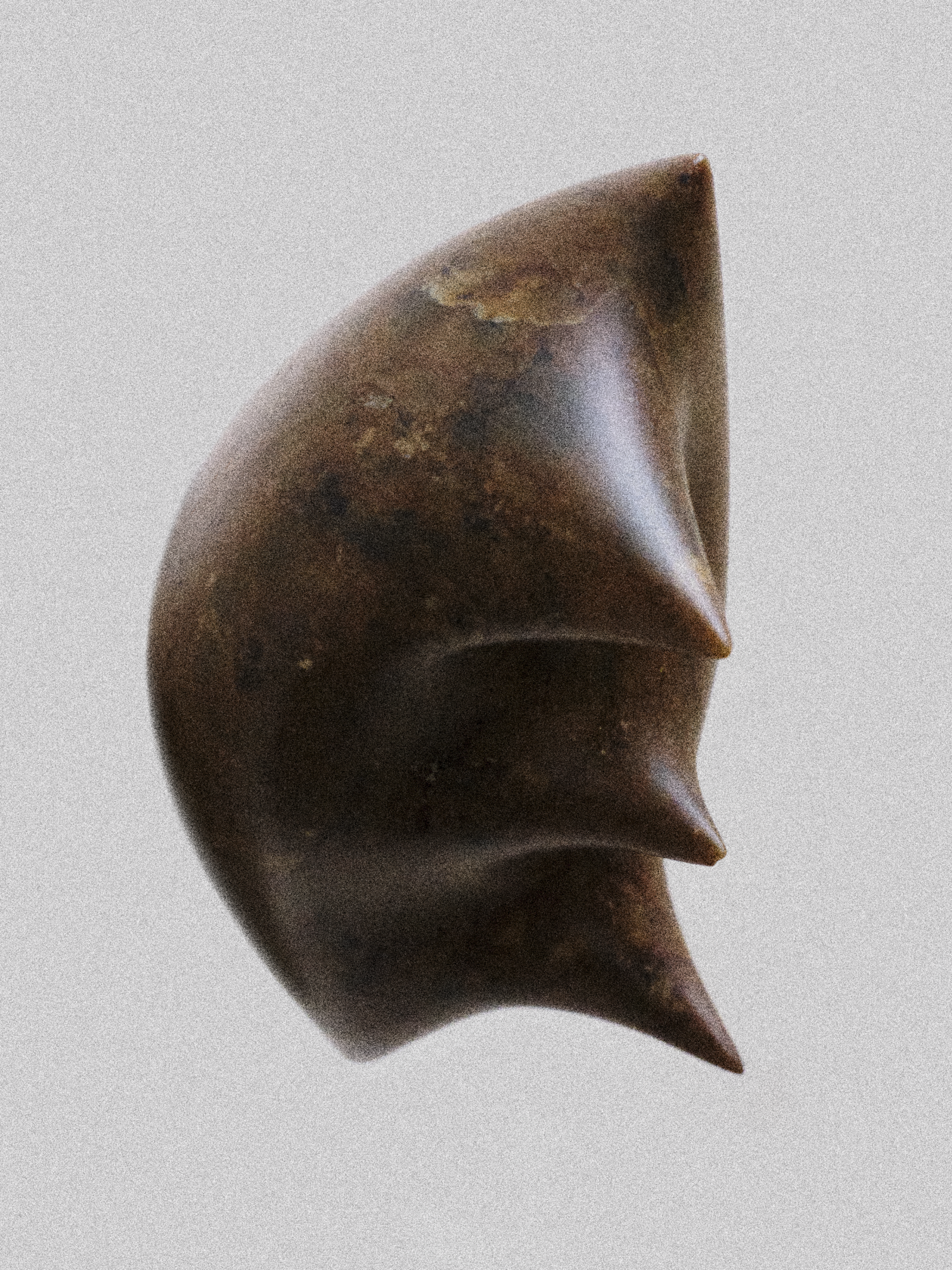 Close-up of a dark brown stone with three pointed spines, isolated against a plain background.