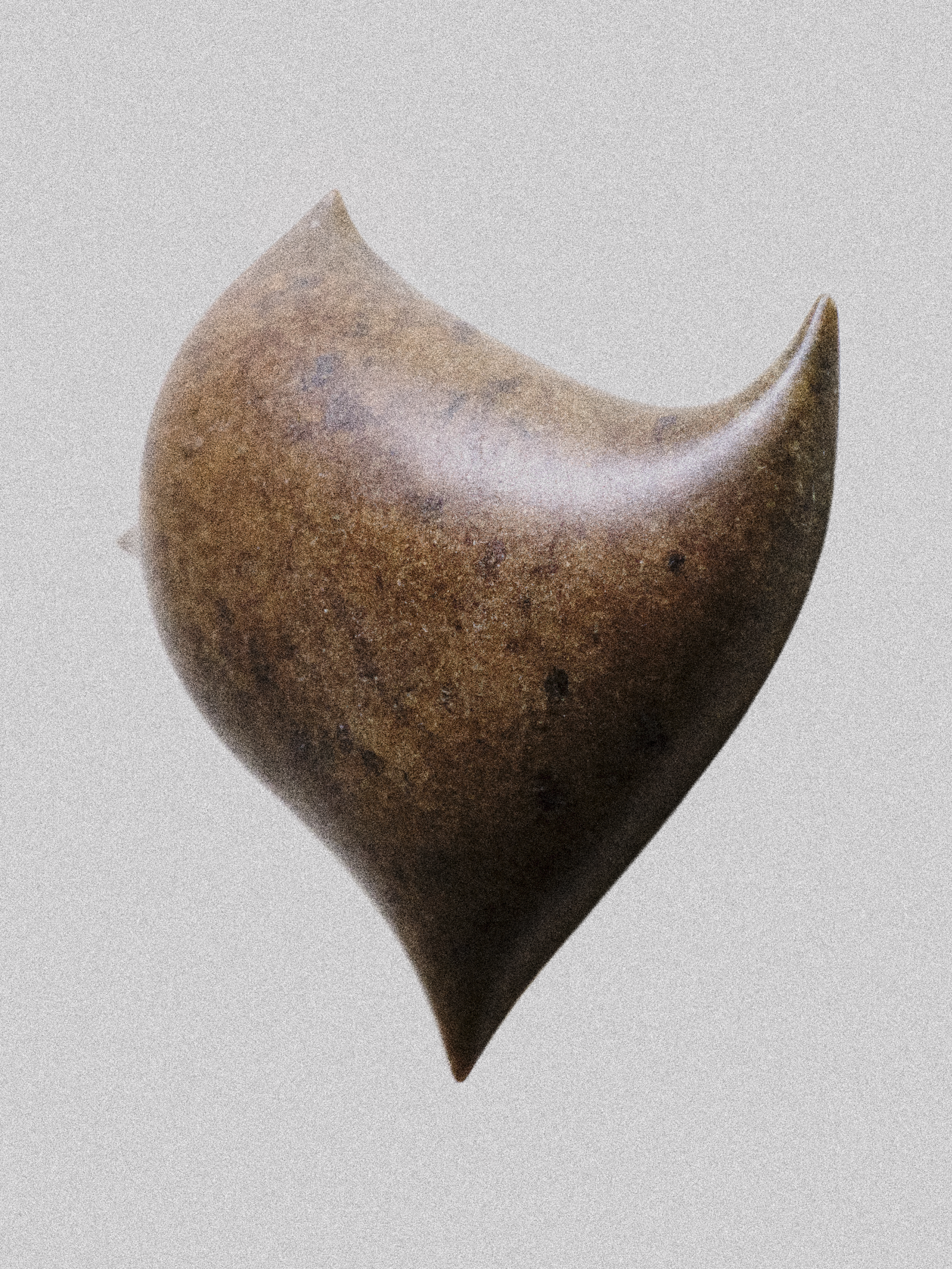 Close-up image of a smooth, brown, spiral-shaped shell with a pointed tip, set against a plain background.