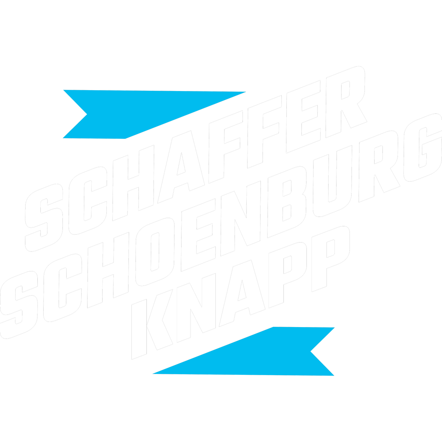 Schaffer Schoenburg Knapp for 19th District Council