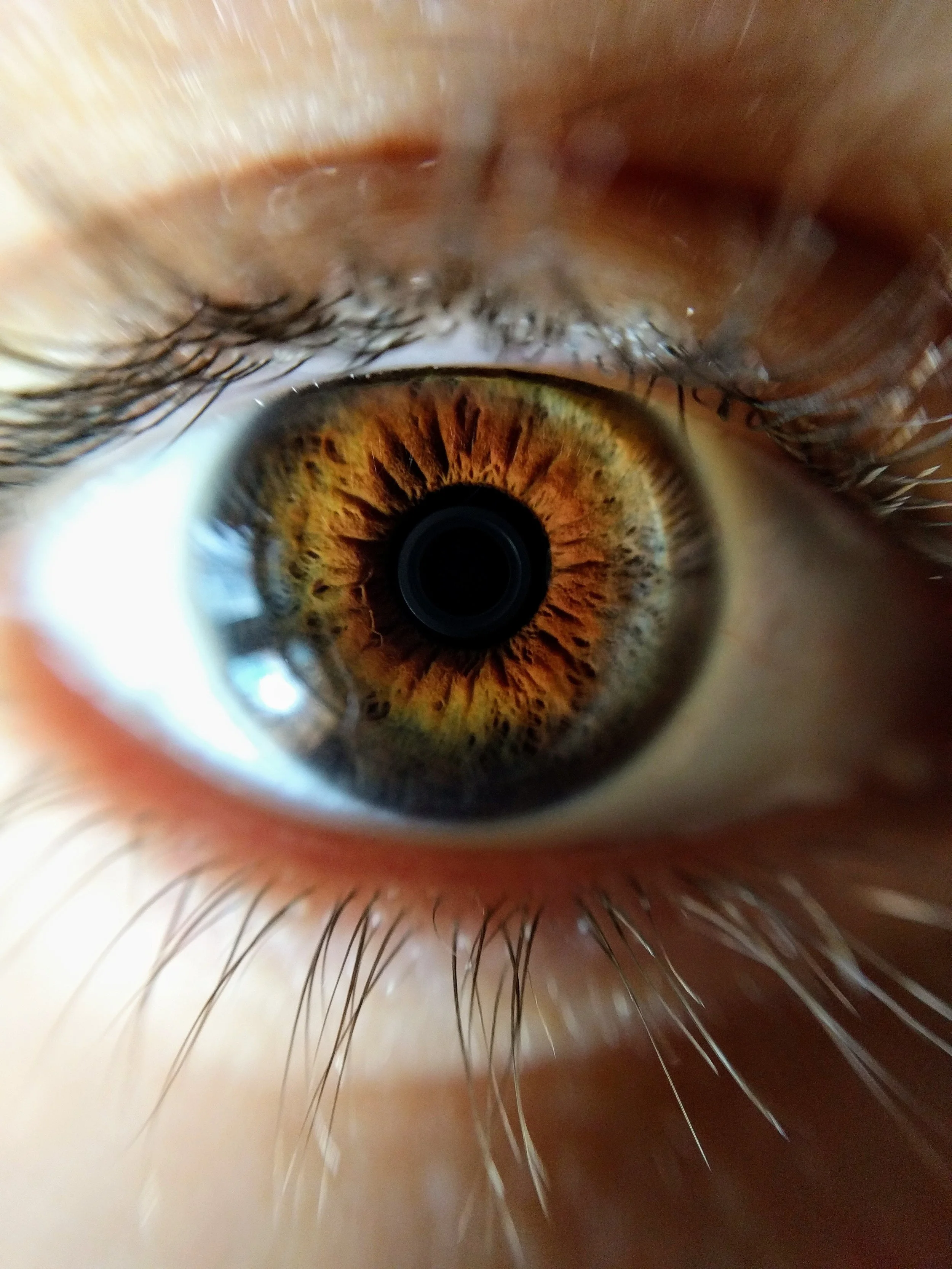 Close-up of a human eye showing the brown iris, pupil, eyelashes, and surrounding skin.