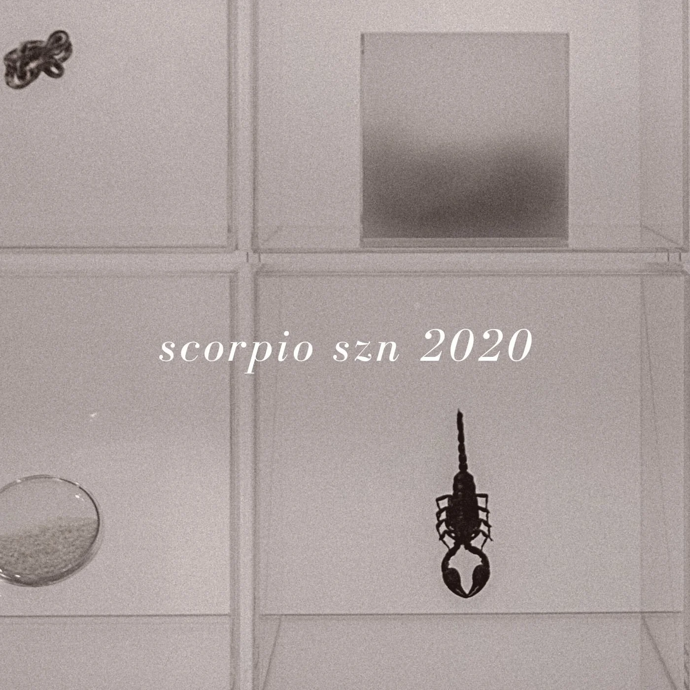 Scorpio Season Mixtape 2020