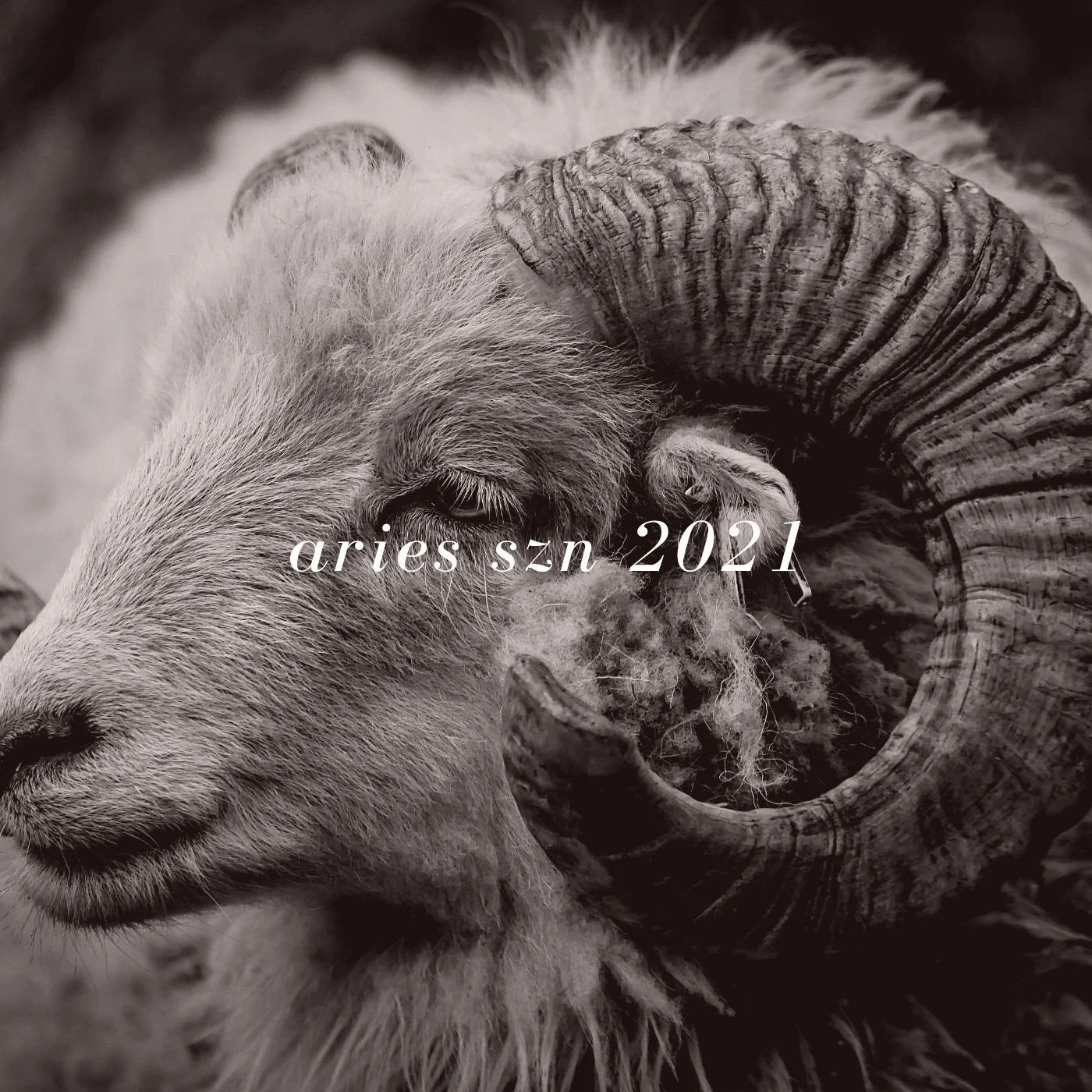 The Sounds of Aries Season