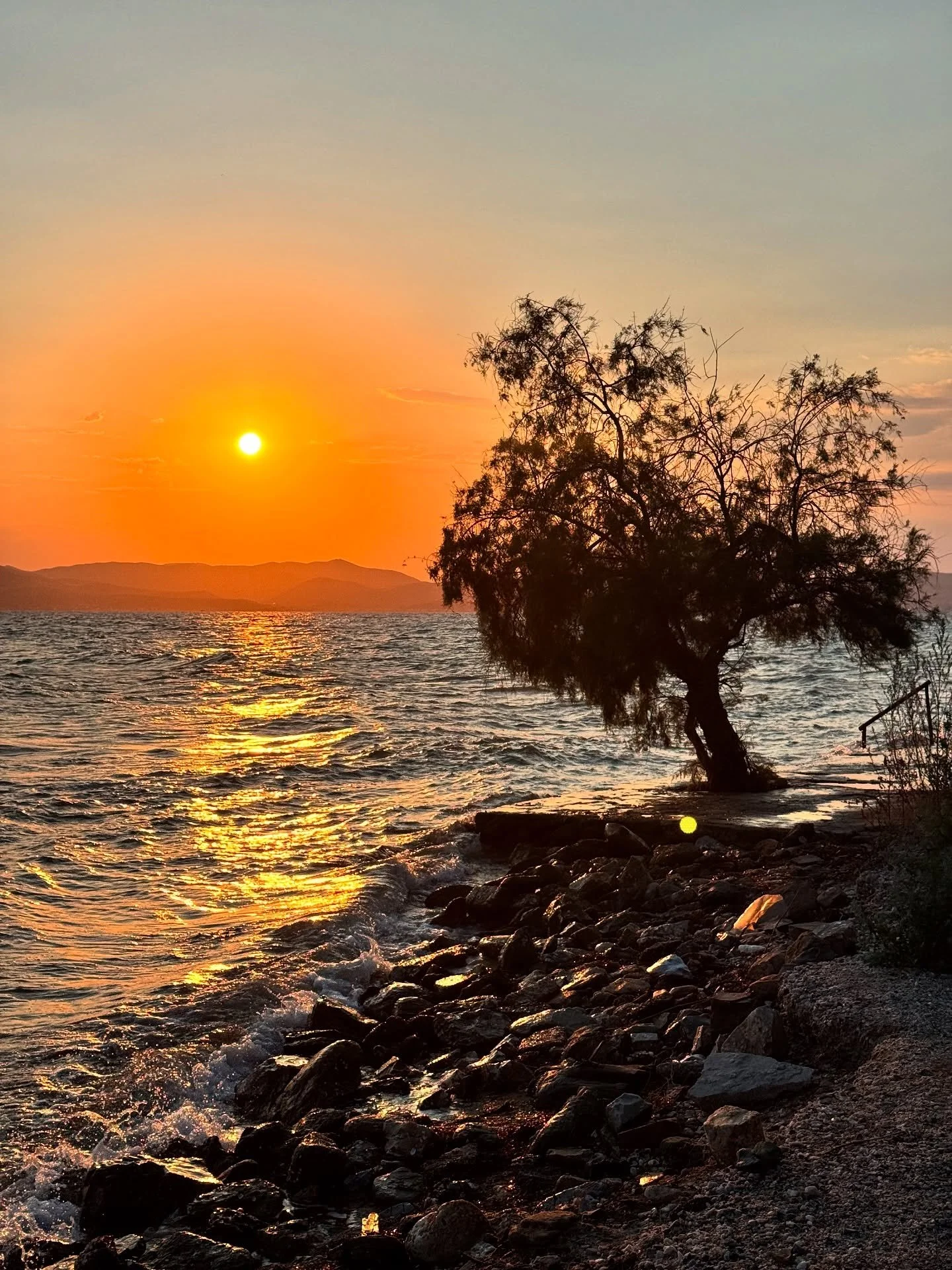 Home place. A golden sunset over the sea with waves and a tree I know since I was a kid.