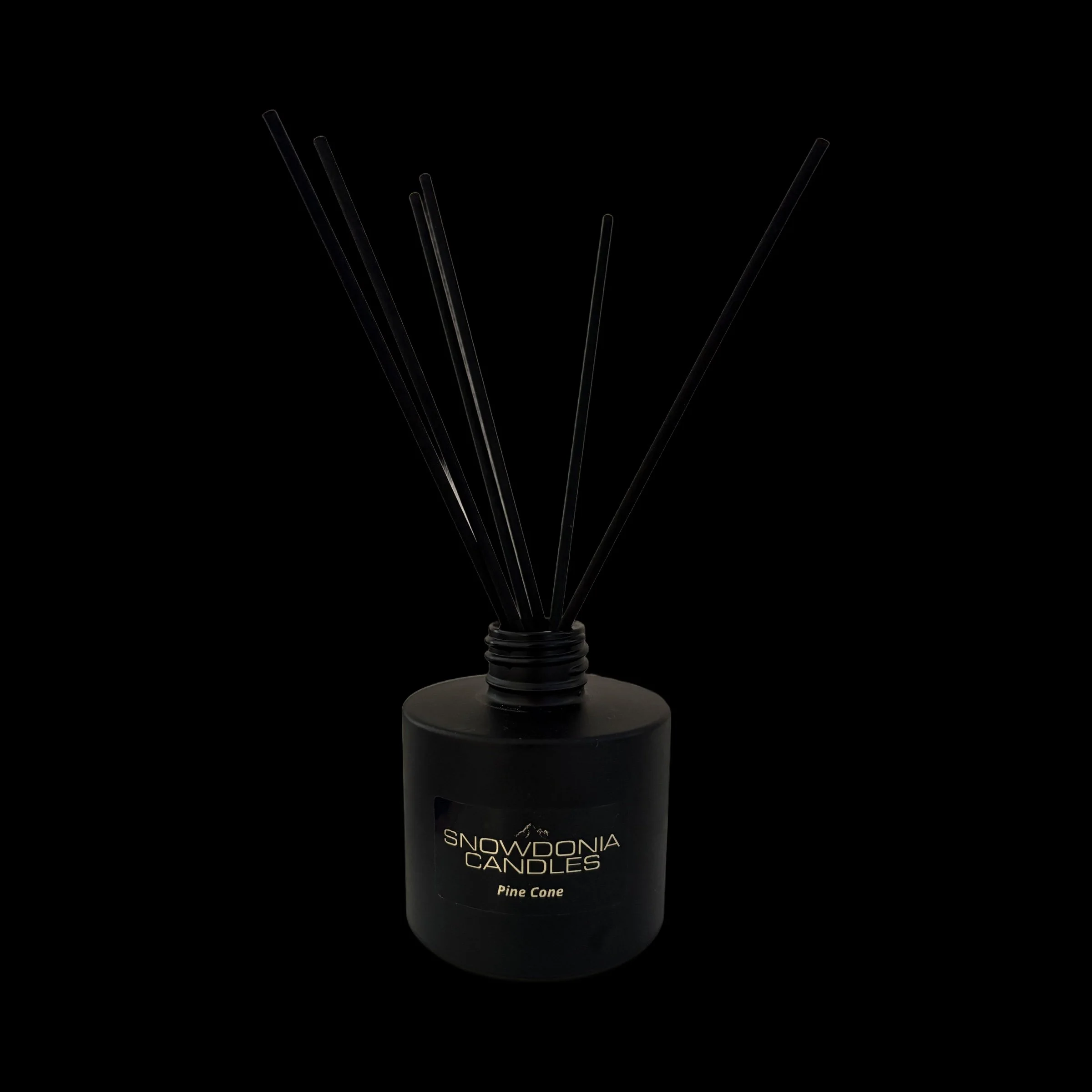 pine-cone-diffuser-transparent.jpg