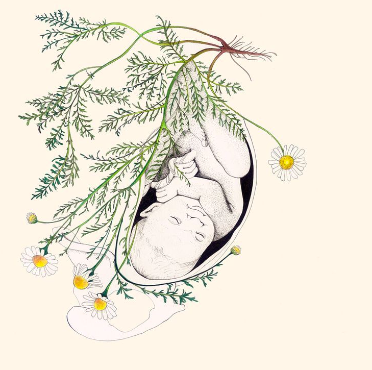 Screenshot 2024-02-07 at 5.06.44 PM.png