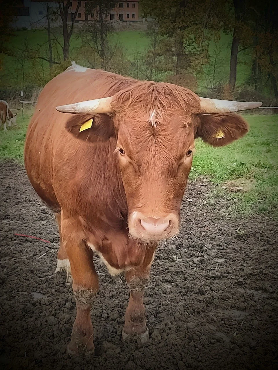 Groß (IMG_20231107_160519~2).jpeg