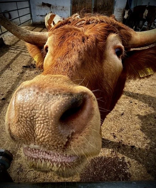 pünktchen klein.jpeg