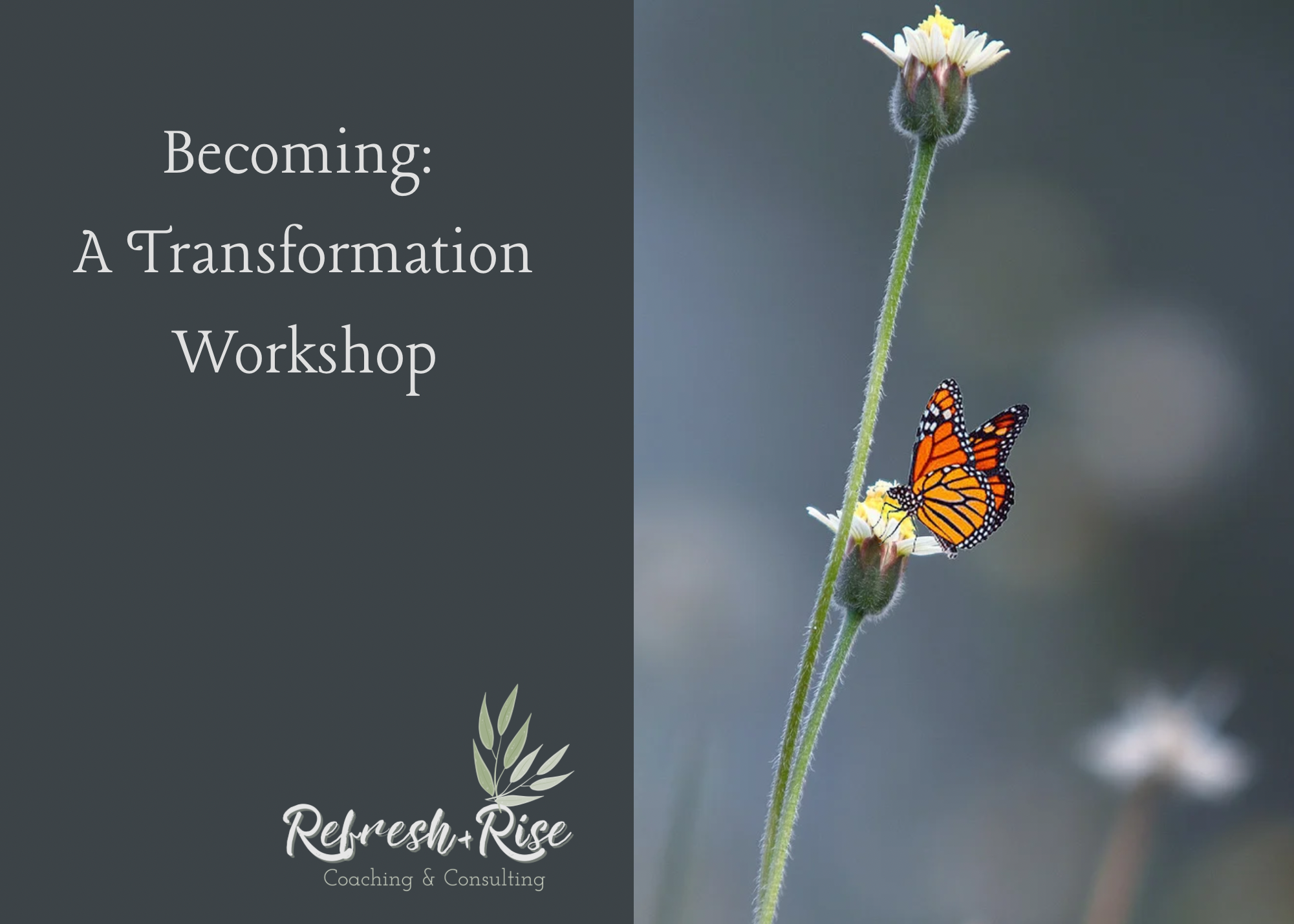 Transformation workshop