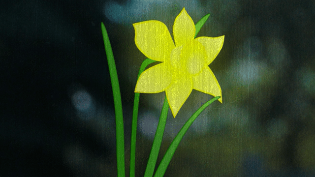 Student Portfolio - Motion