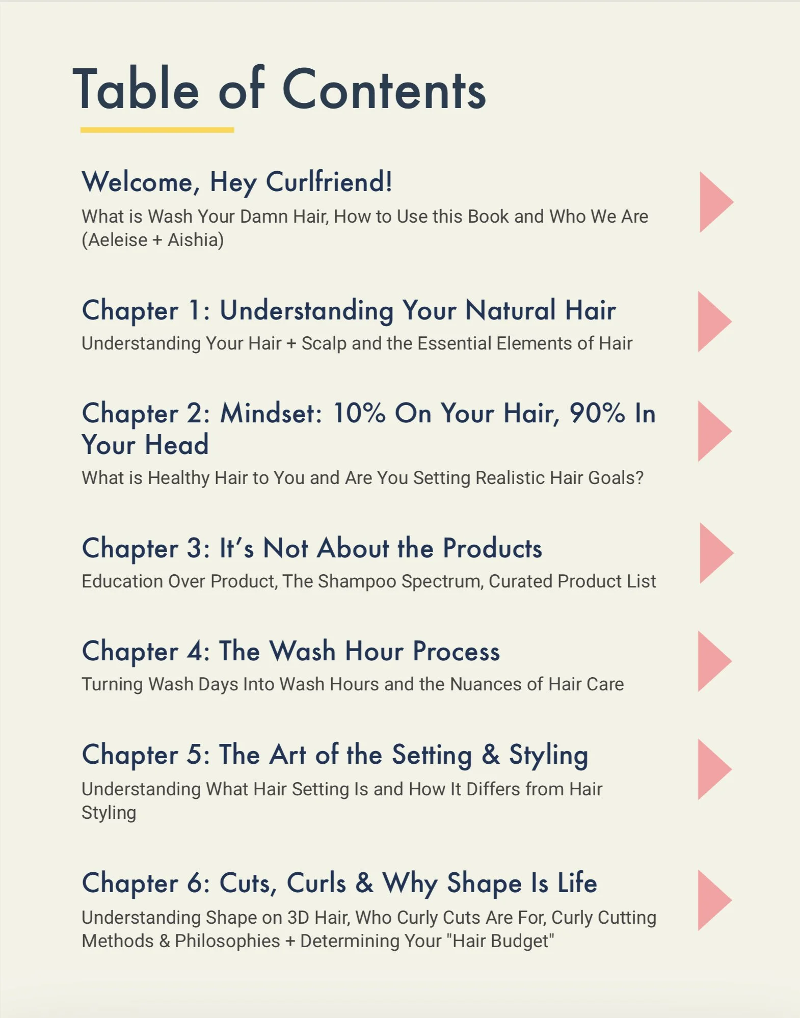 Table of contents from a book titled 'Wash Your Damn Hair' listing chapters about understanding hair, mindset, hair care education, washing process, setting and styling, and hair cuts and shape.