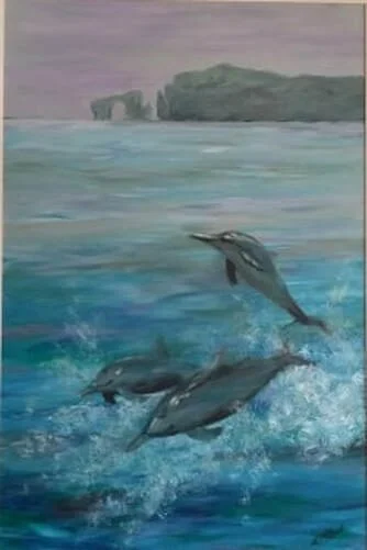 dolphin-dance-2018-lr.jpg