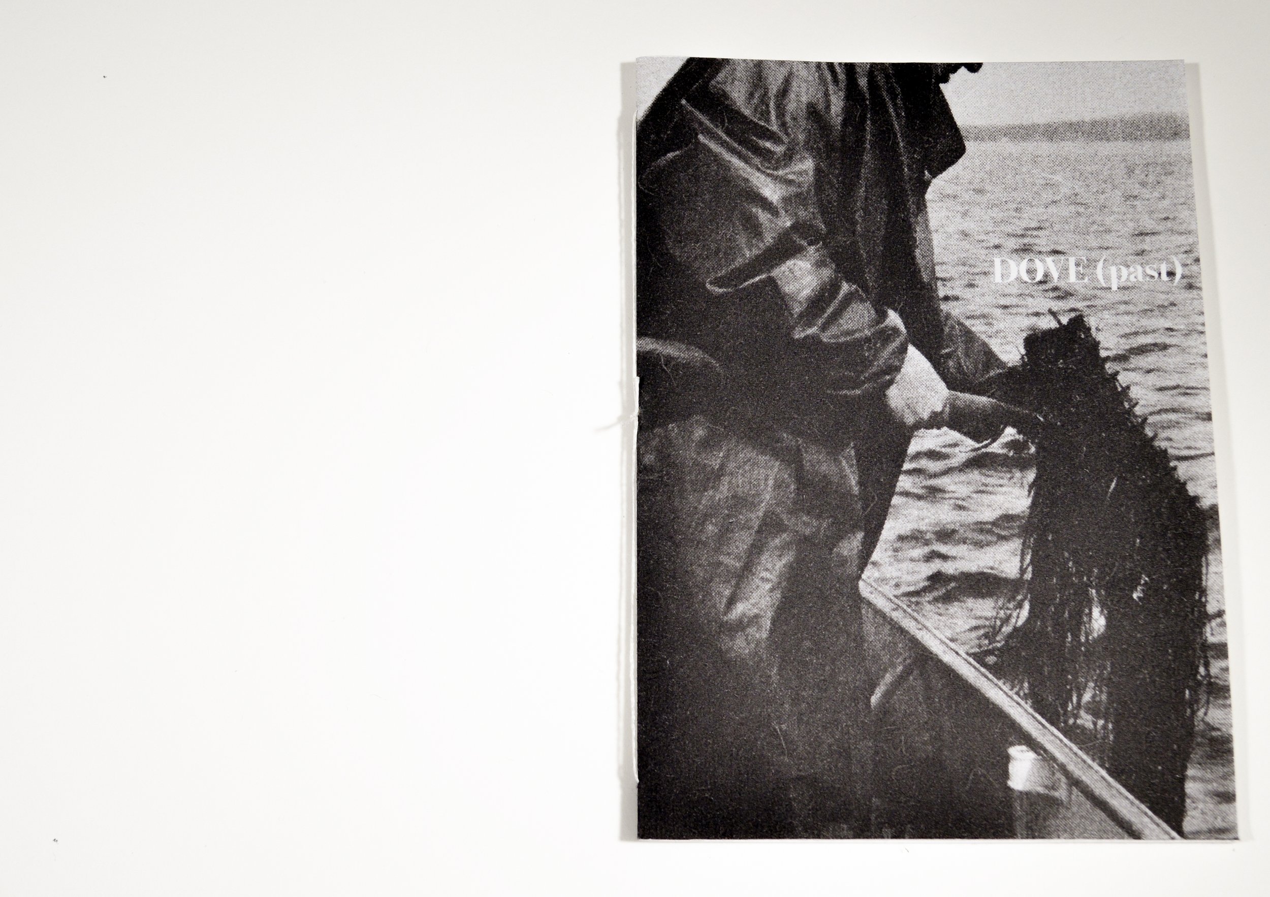 dove.past.1.jpg