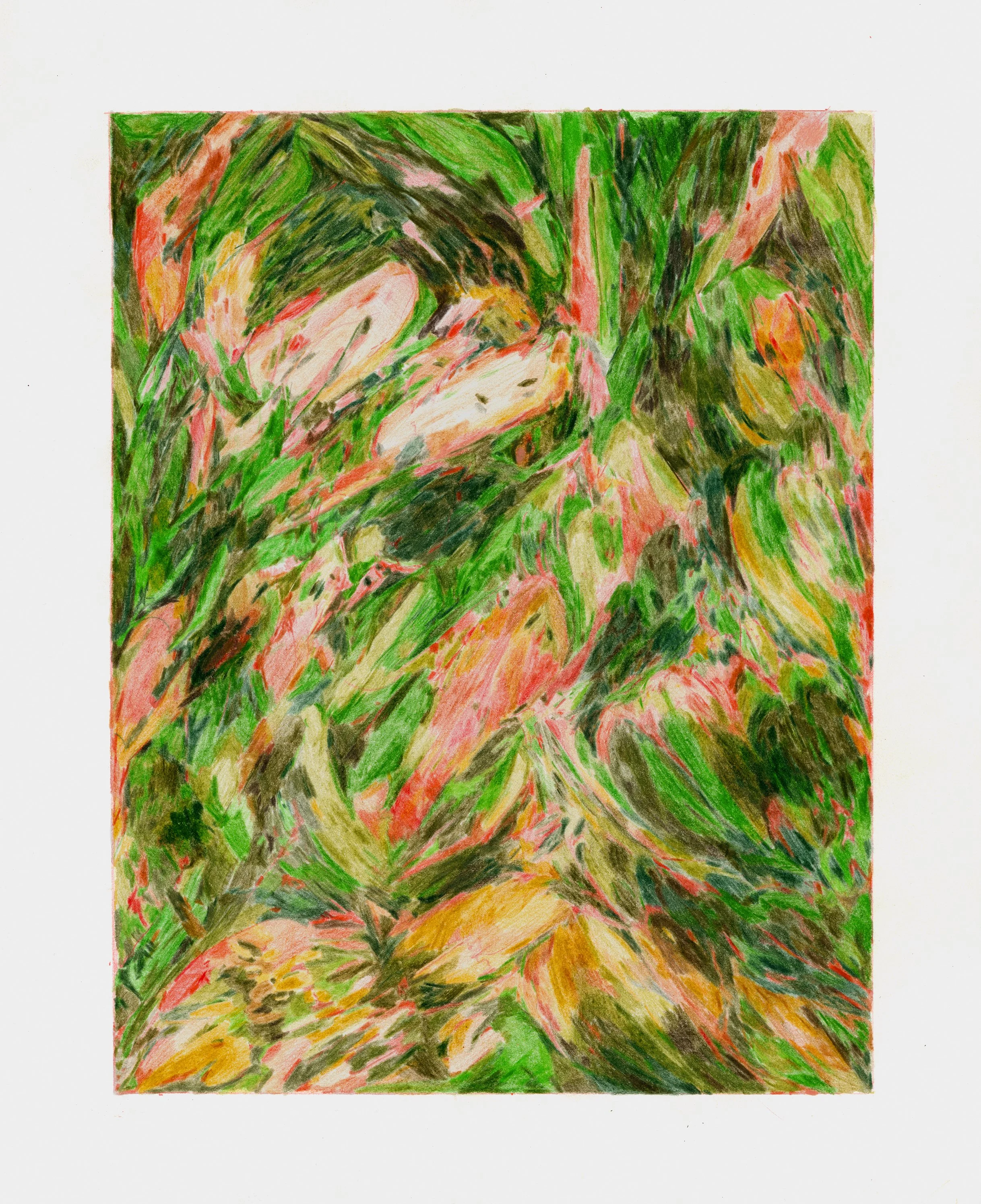 Study, June - Colored Pencil - 11 x 14 in