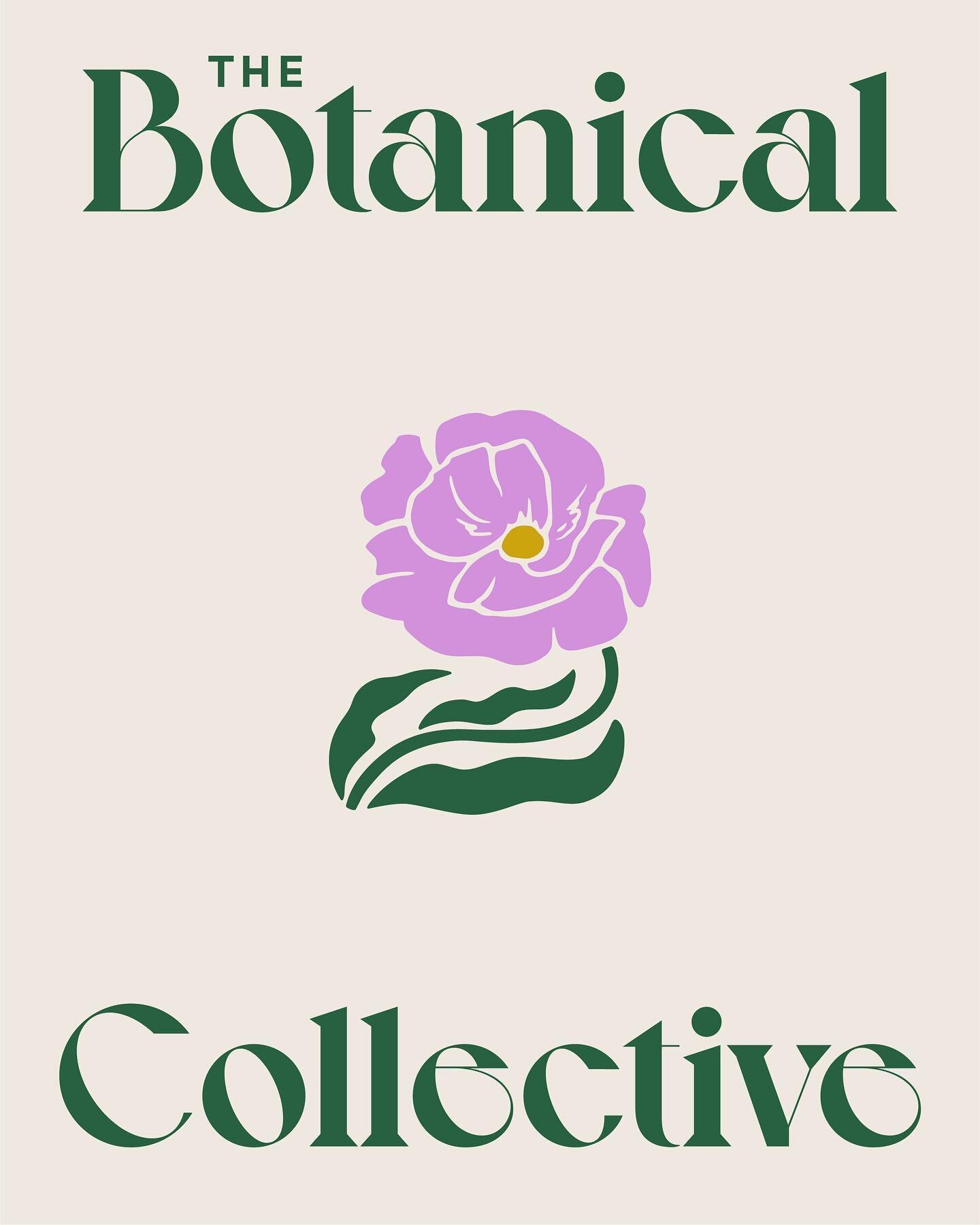 New brand identity! I love working with cool women-owned businesses, creative-centered brands, and local Milwaukeeans, and this project hit all three. Check out @thebocomke and all their beautiful blooms! 🌺