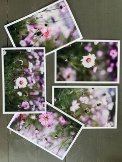 IMG_1578 Small.jpeg
