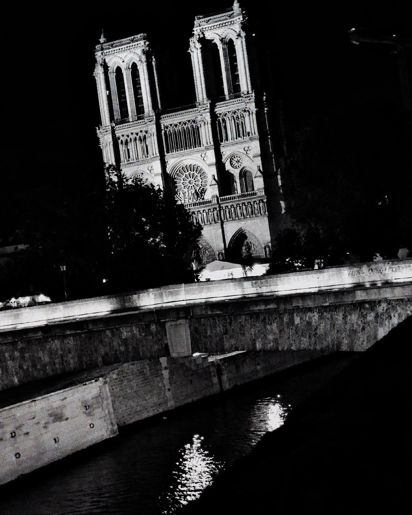 Tales of the night, photographed in September, 2020