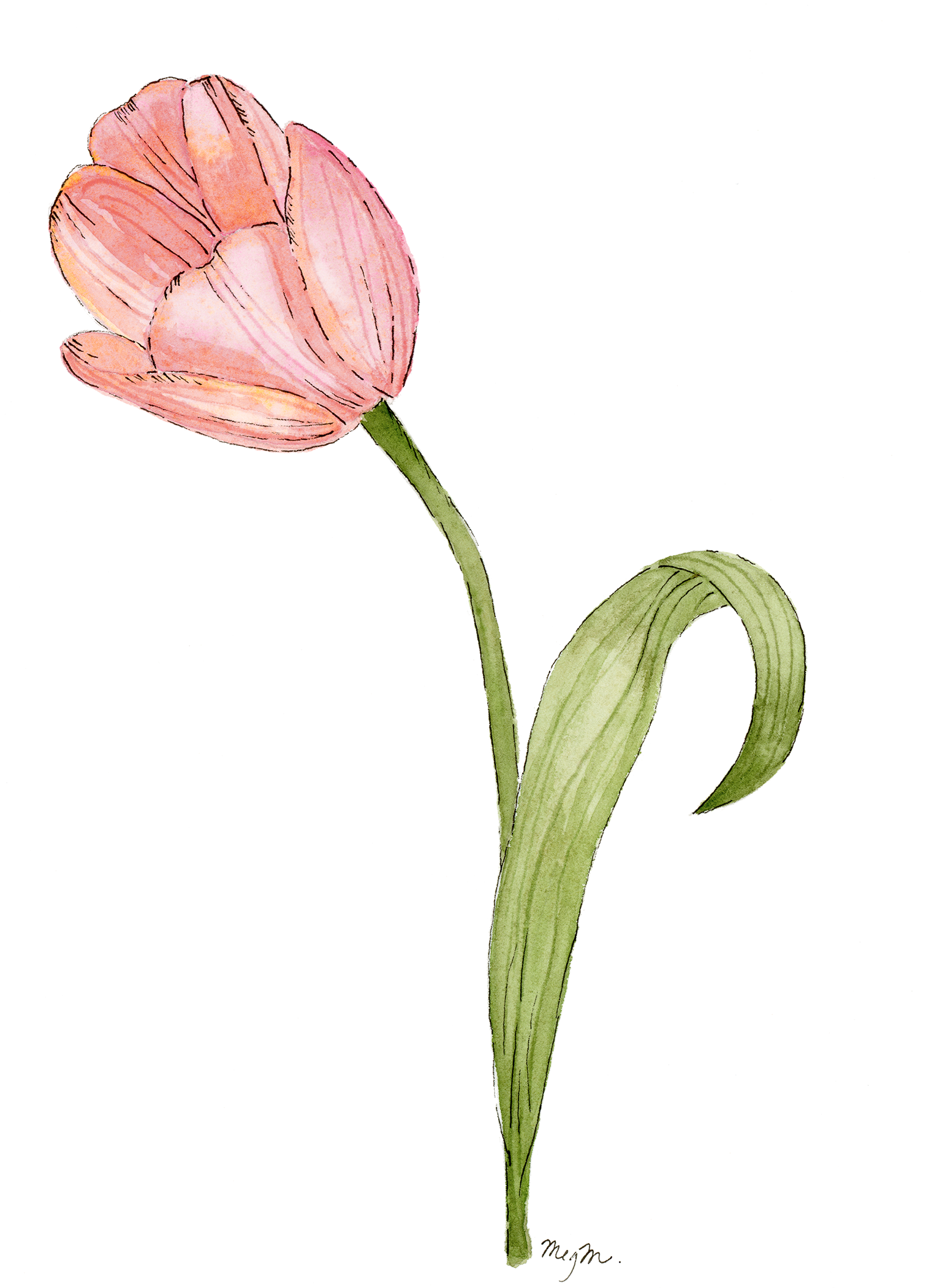 Tulip Squarespace.png