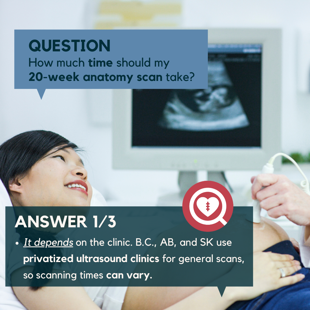 How much time should my 20-week anatomy scan take?