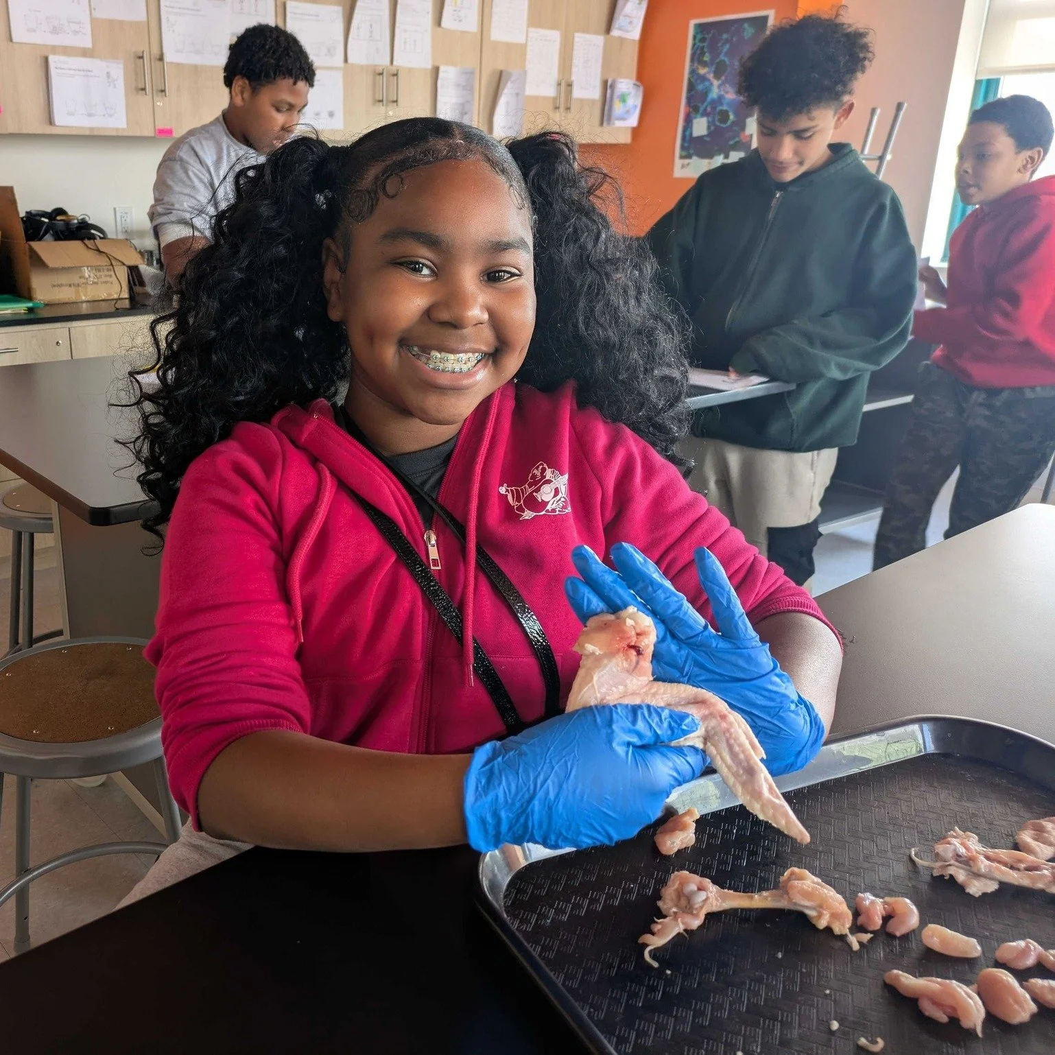 Yesterday in Science, our 6th graders took a hands-on approach to understanding the body by dissecting chicken wings.

By examining skin, muscle, tendons, ligaments, and bone up close, students explored how different parts of the body work together t