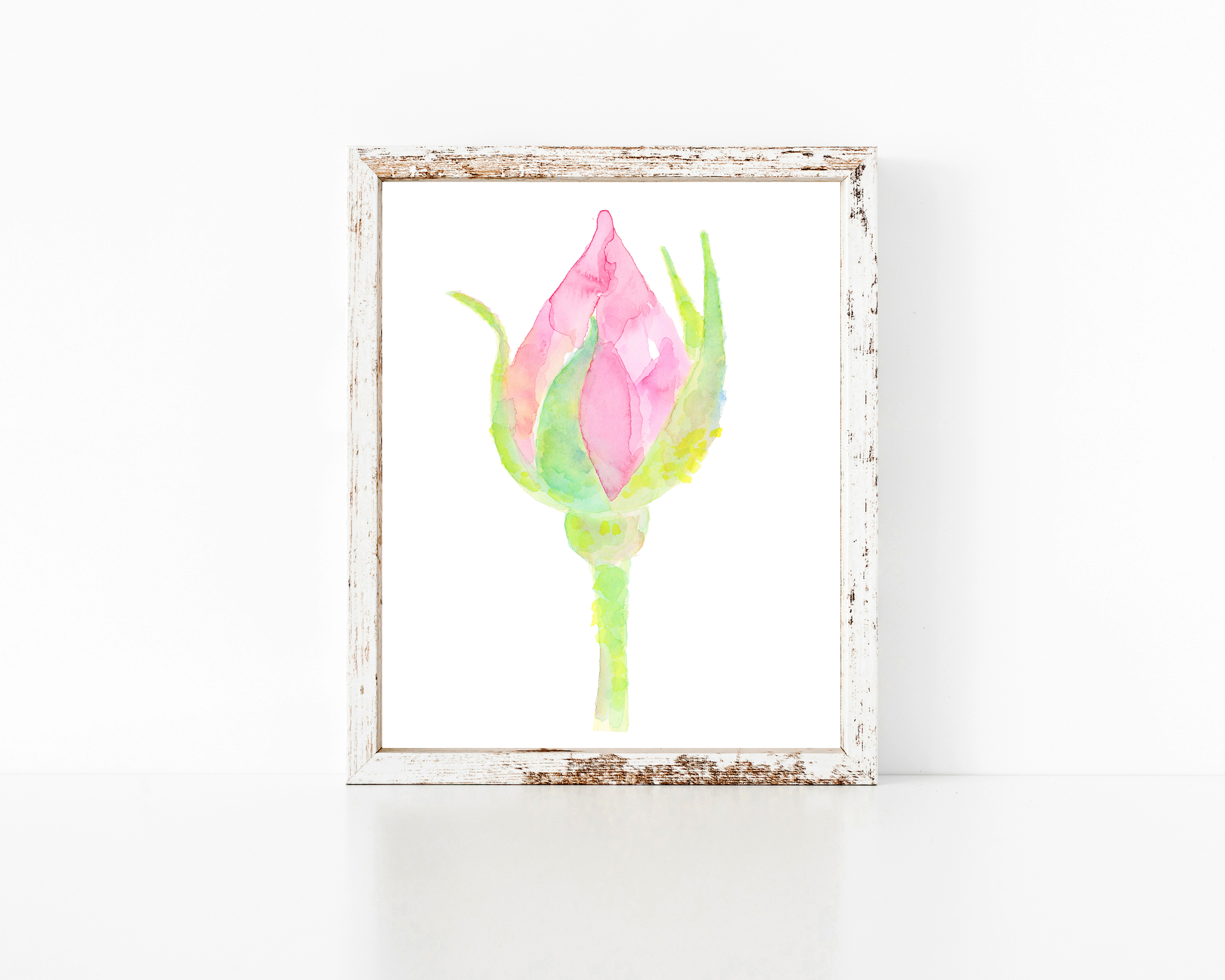 RoseDisplay1.png