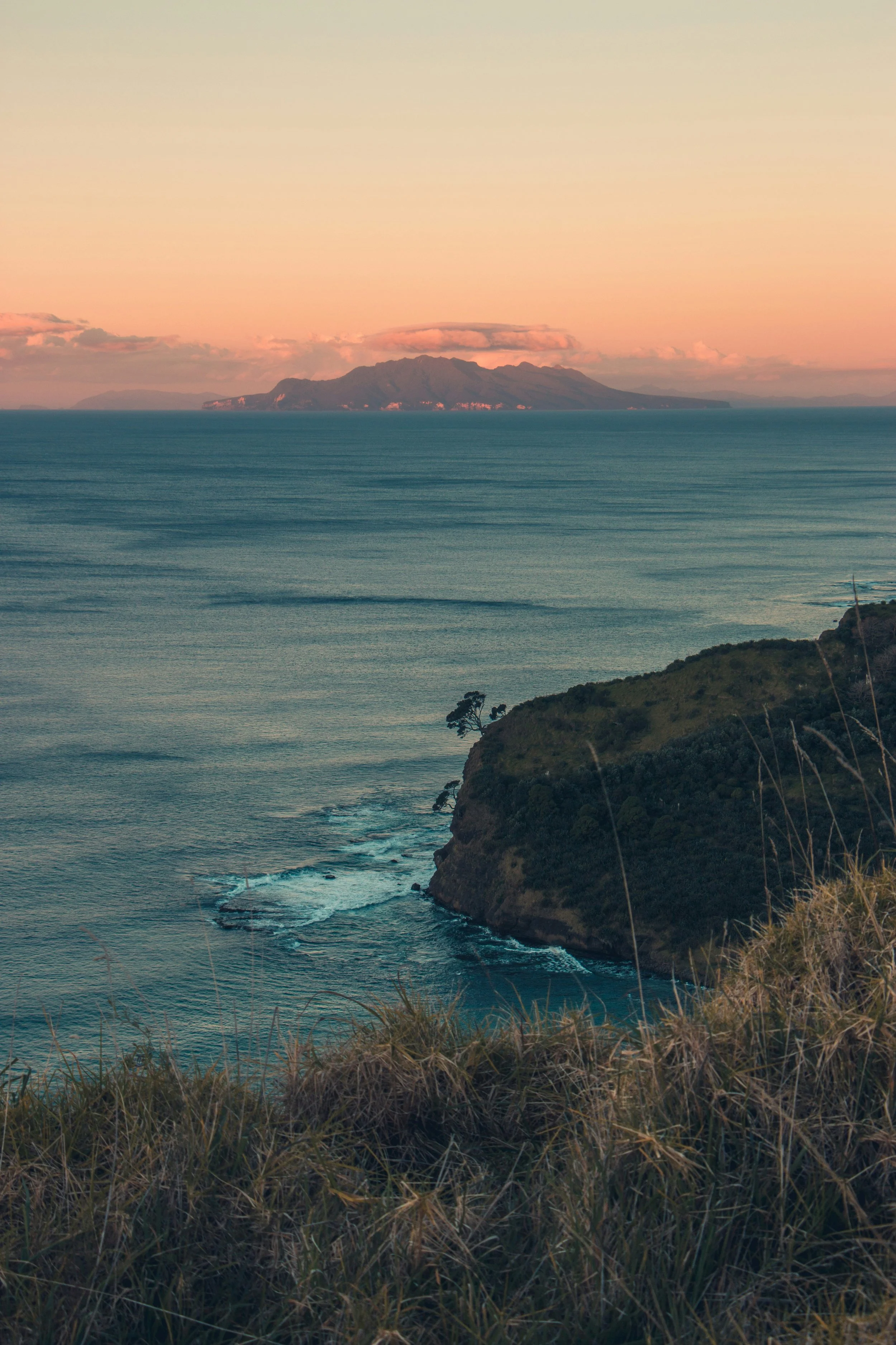 Why Aotearoa's Environment Is Unlike Anywhere Else on Earth