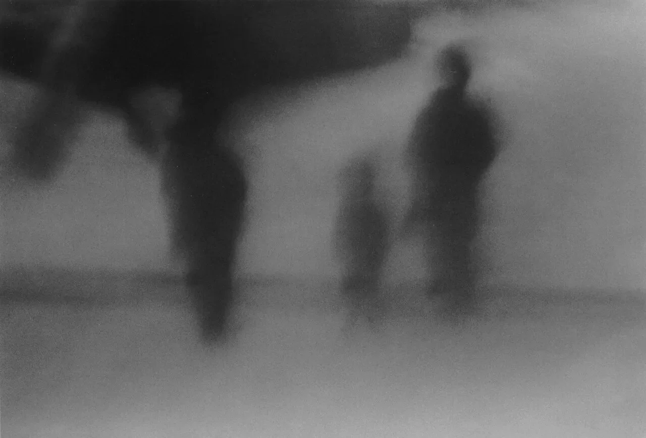 鸦 (10).jpg