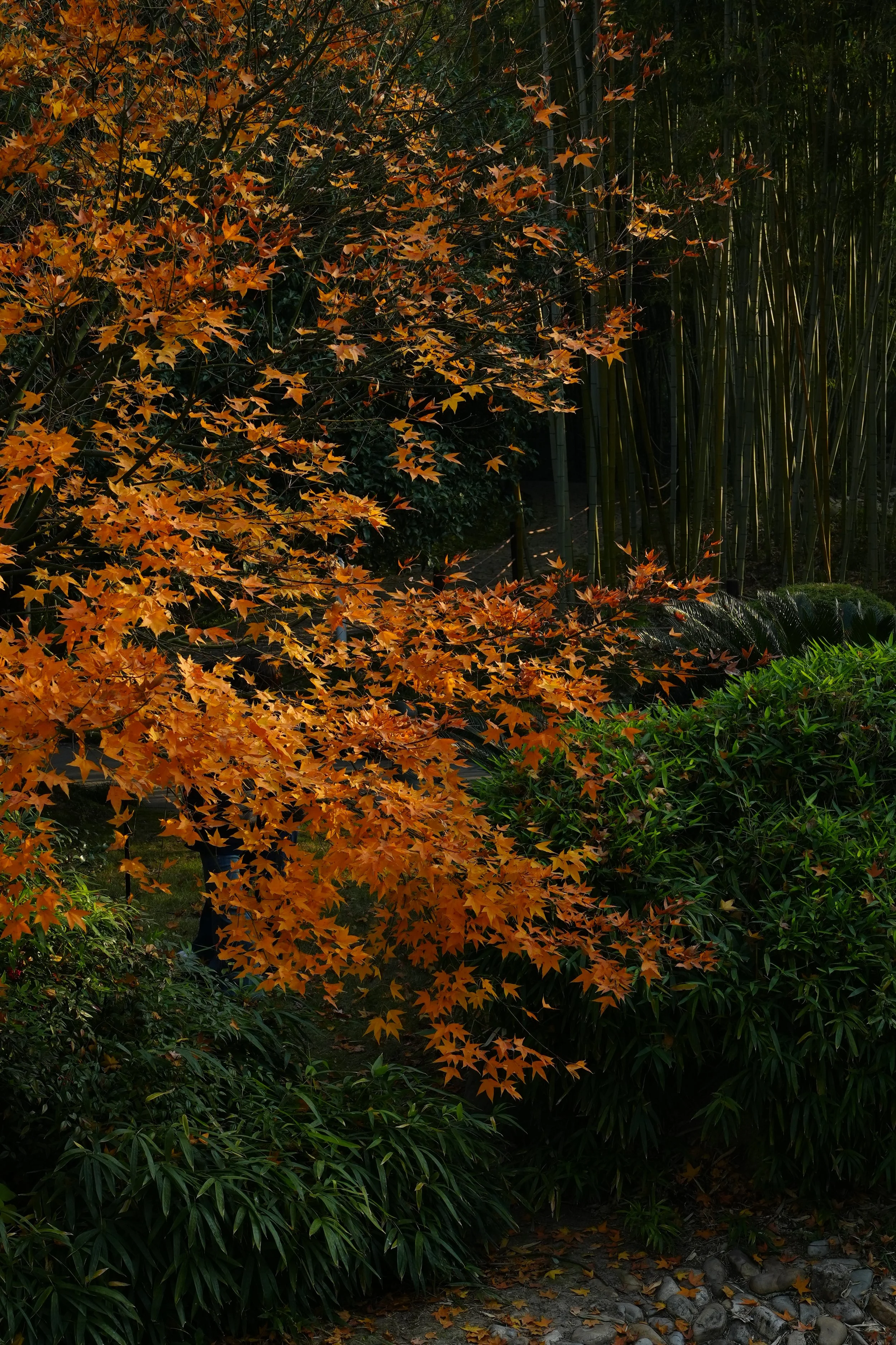 DSC09024.JPG