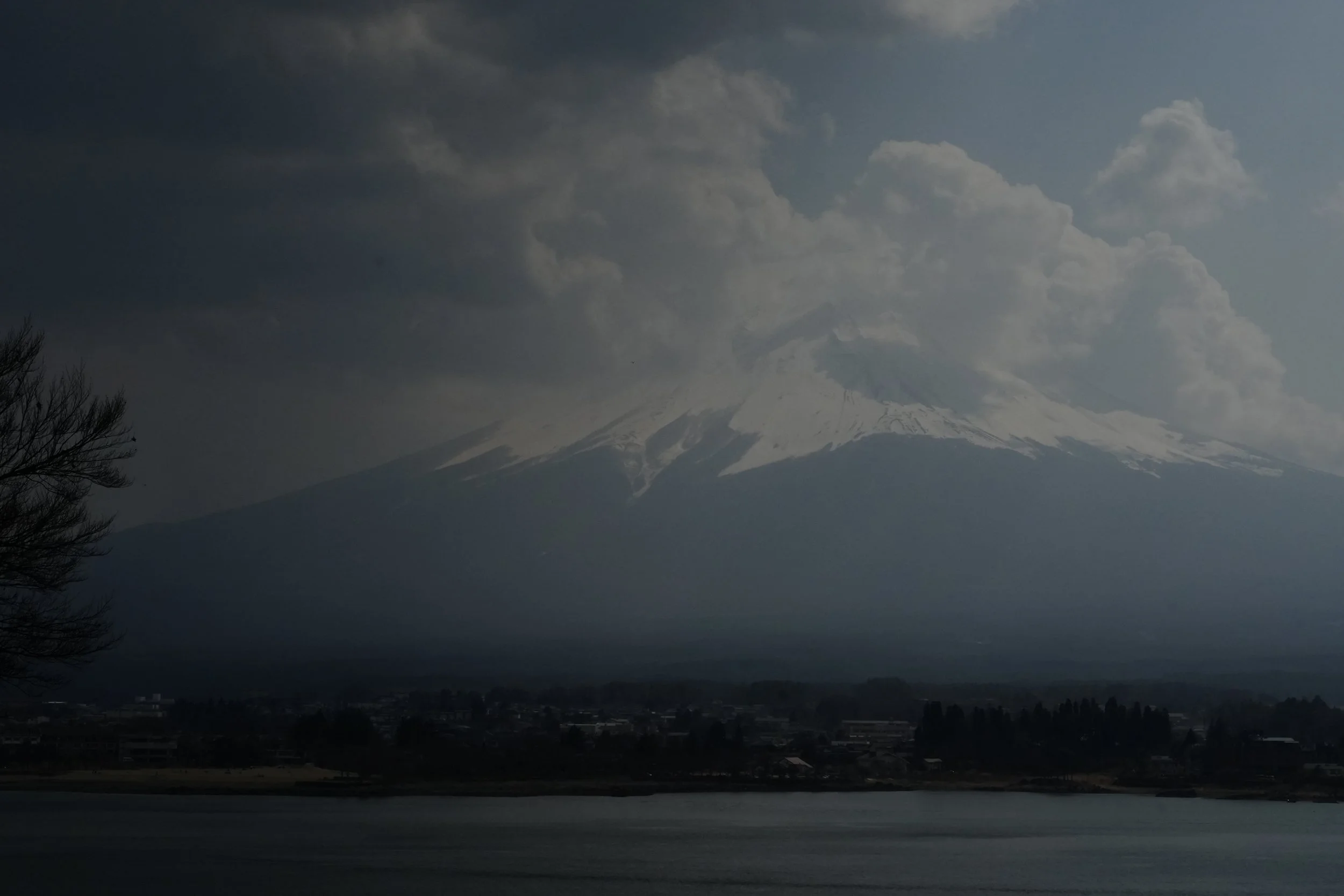 DSC09854.jpg