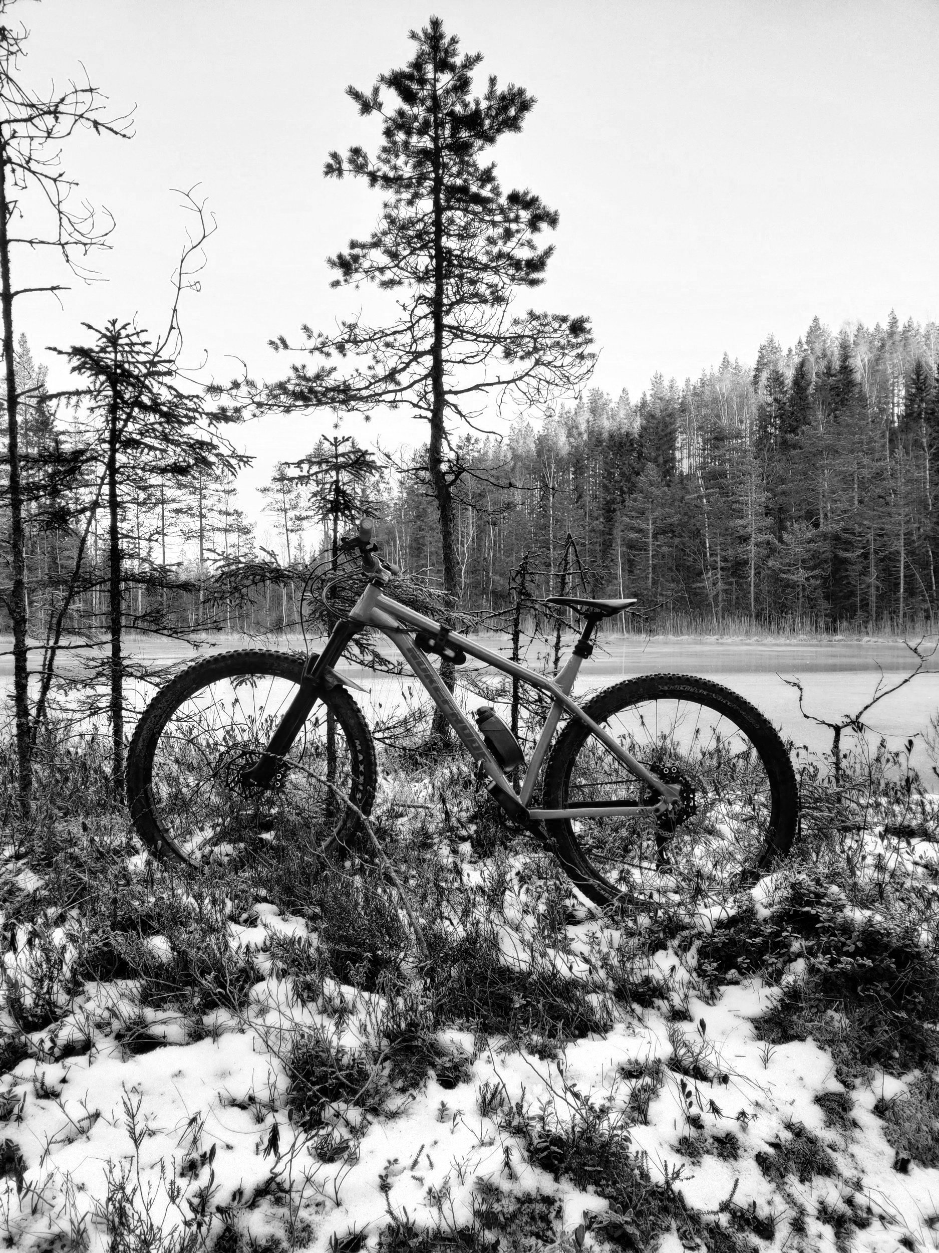 Pyörähuollot — Bike & Sport Service Oy