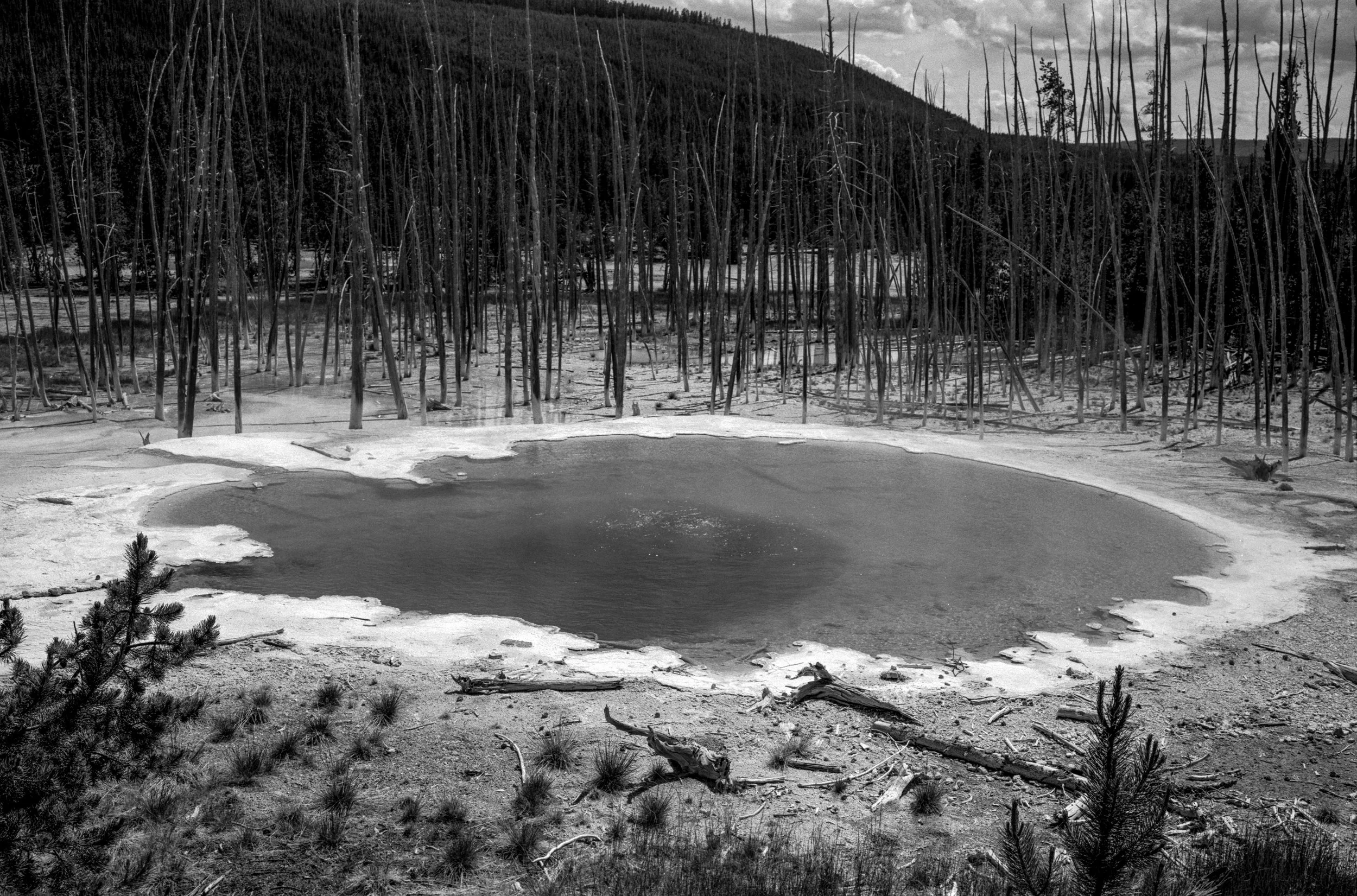 Volodymyr_Demkiv_Yosemite-9.jpg