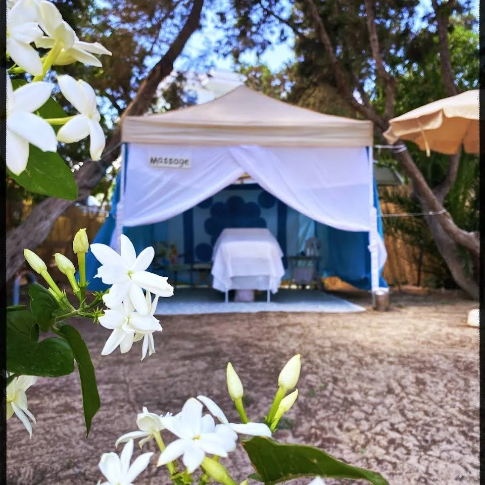 Carpa Playa Pinet.jpg
