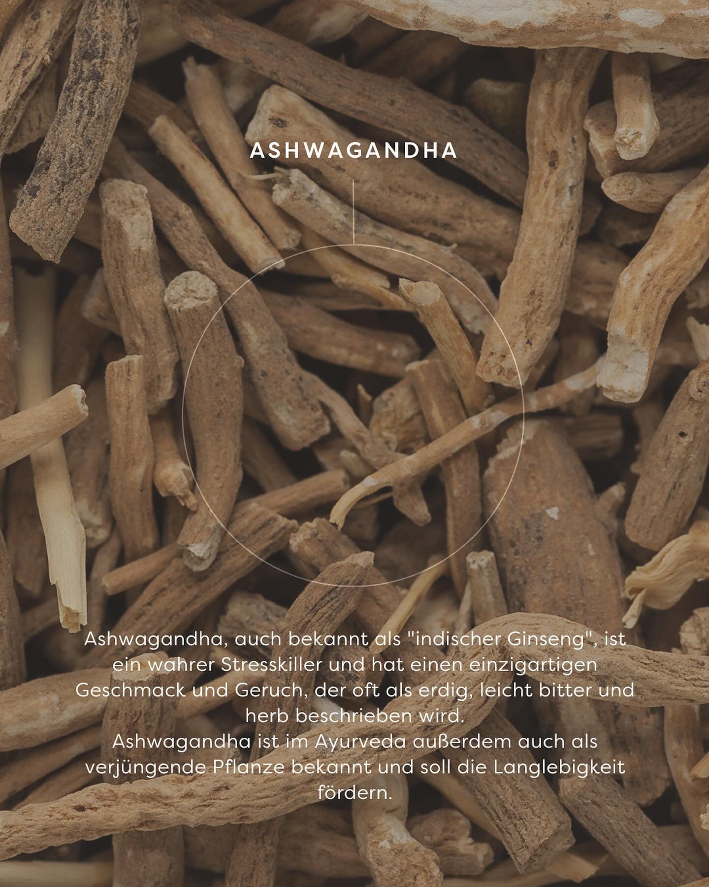 Ashwagandha, auch als &bdquo;Schlafbeere&ldquo; oder &bdquo;indischer Ginseng&ldquo; bekannt, wird aus den Wurzeln der Ashwagandha-Pflanze hergestellt. Sie kann als Tee, Tinktur, Kapseln oder &Ouml;l verwendet werden, um Stress abzubauen, einen ruhig